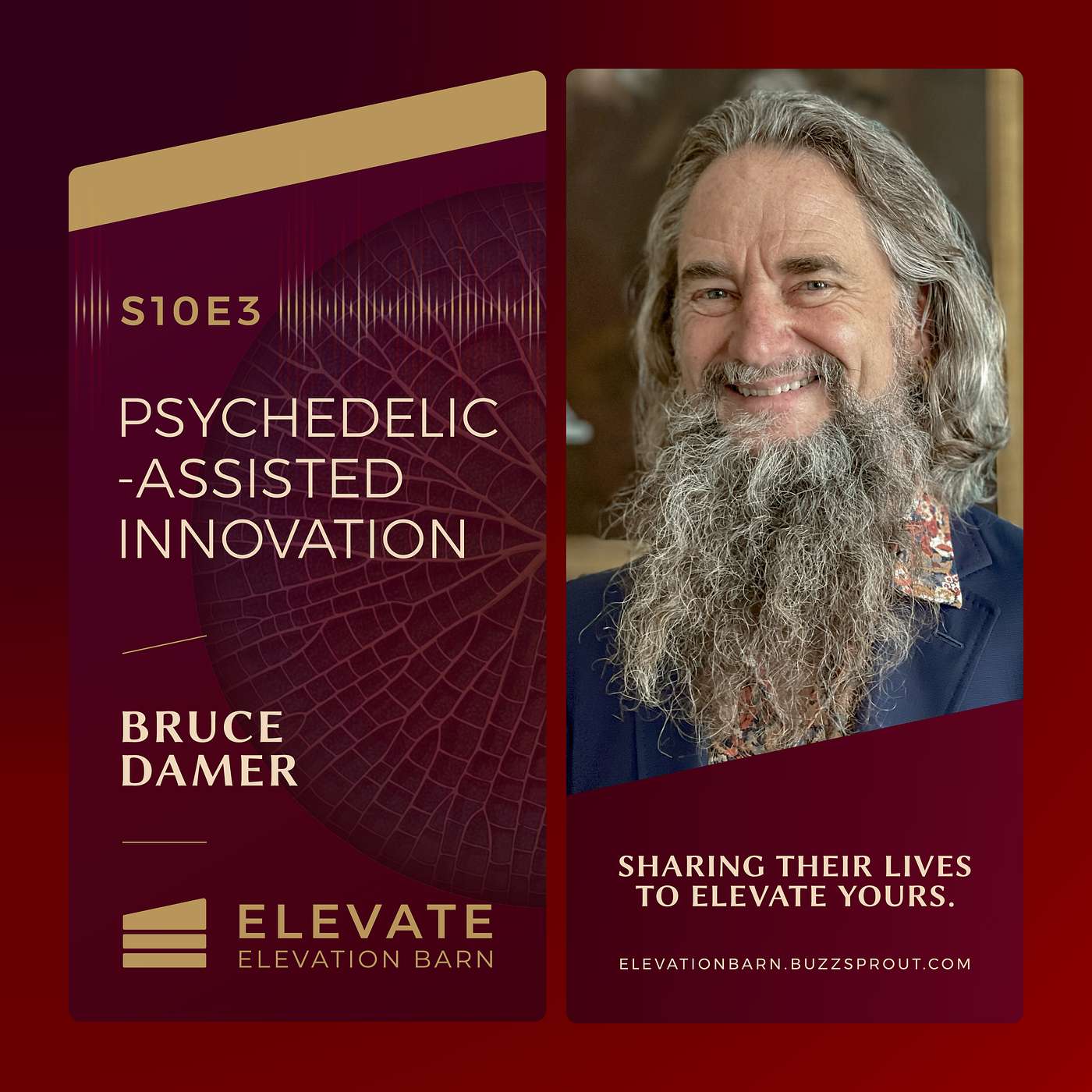 #109. Psychedelic-Assisted Innovation | Bruce Damer episode artwork