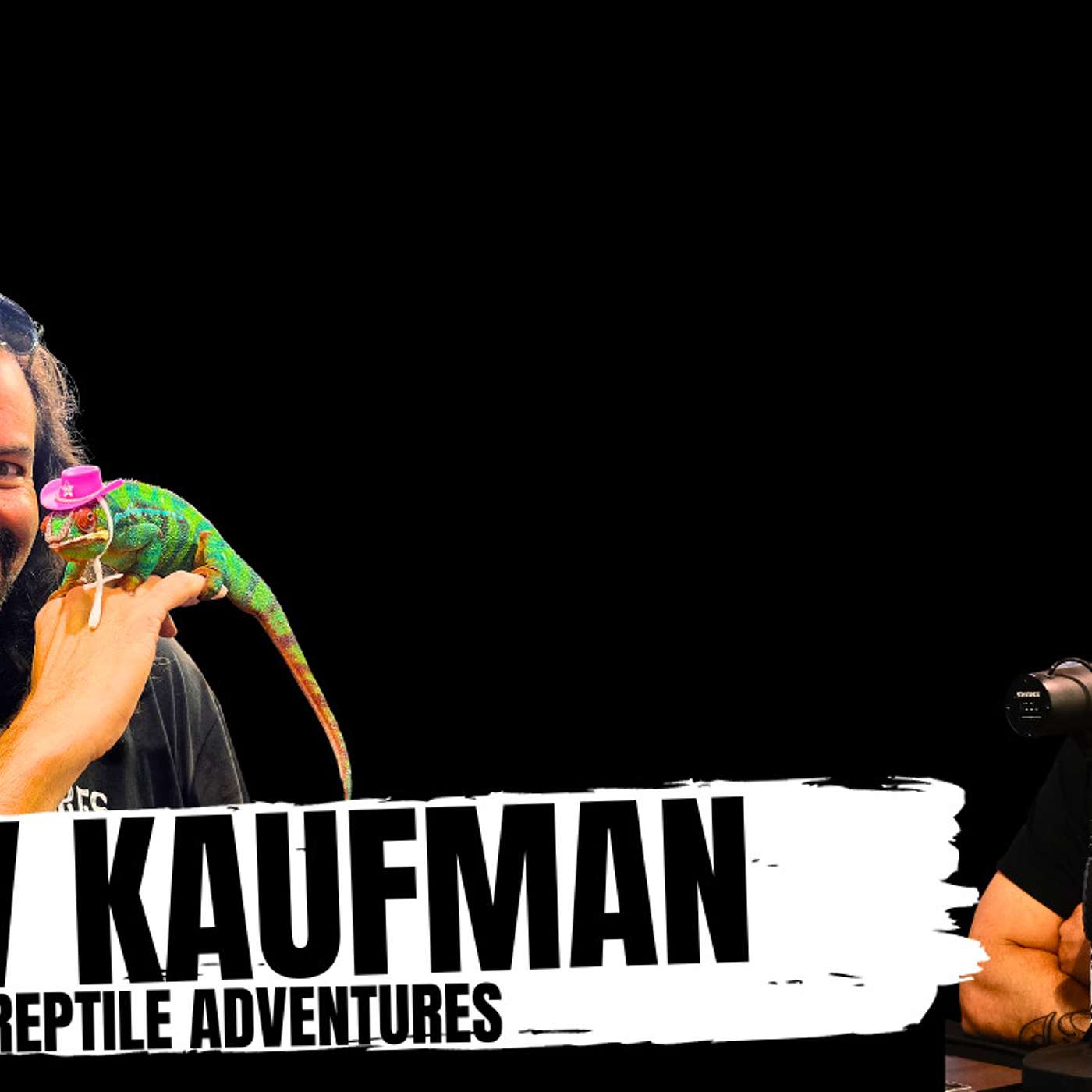 Will there ever be another Ball Python movie?