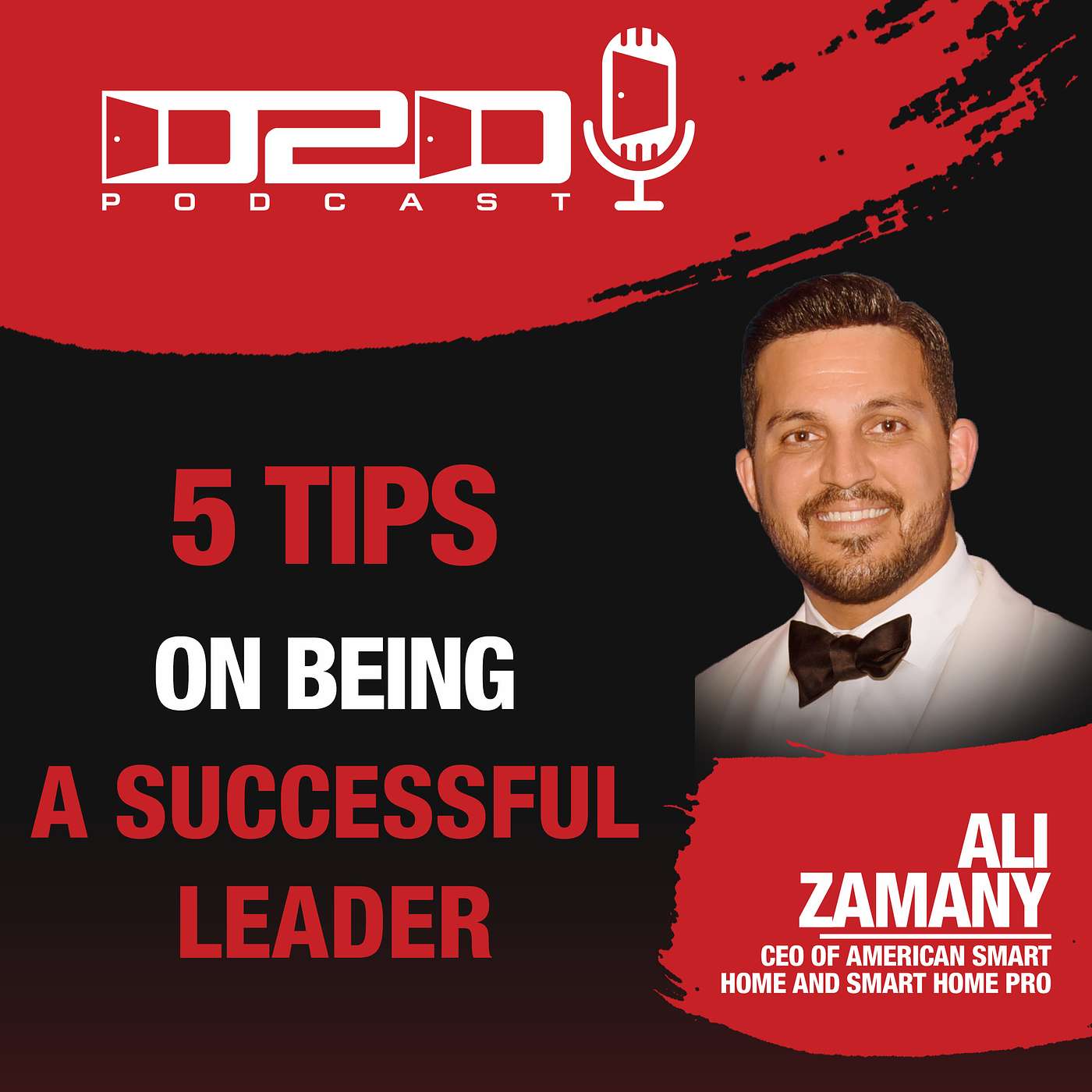 Ali Zamany - CEO of Smart Home Pro and American Smart Home: 15 tips on how to be a successful leader