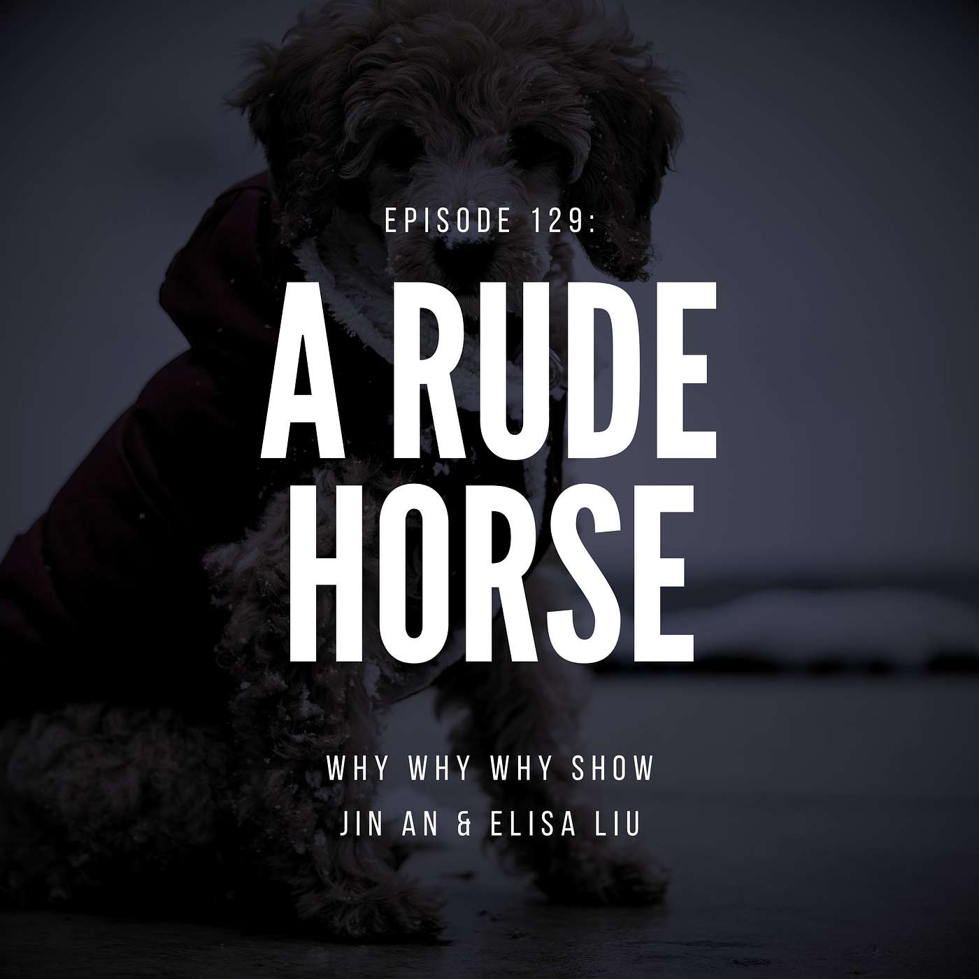 129: A Rude Horse