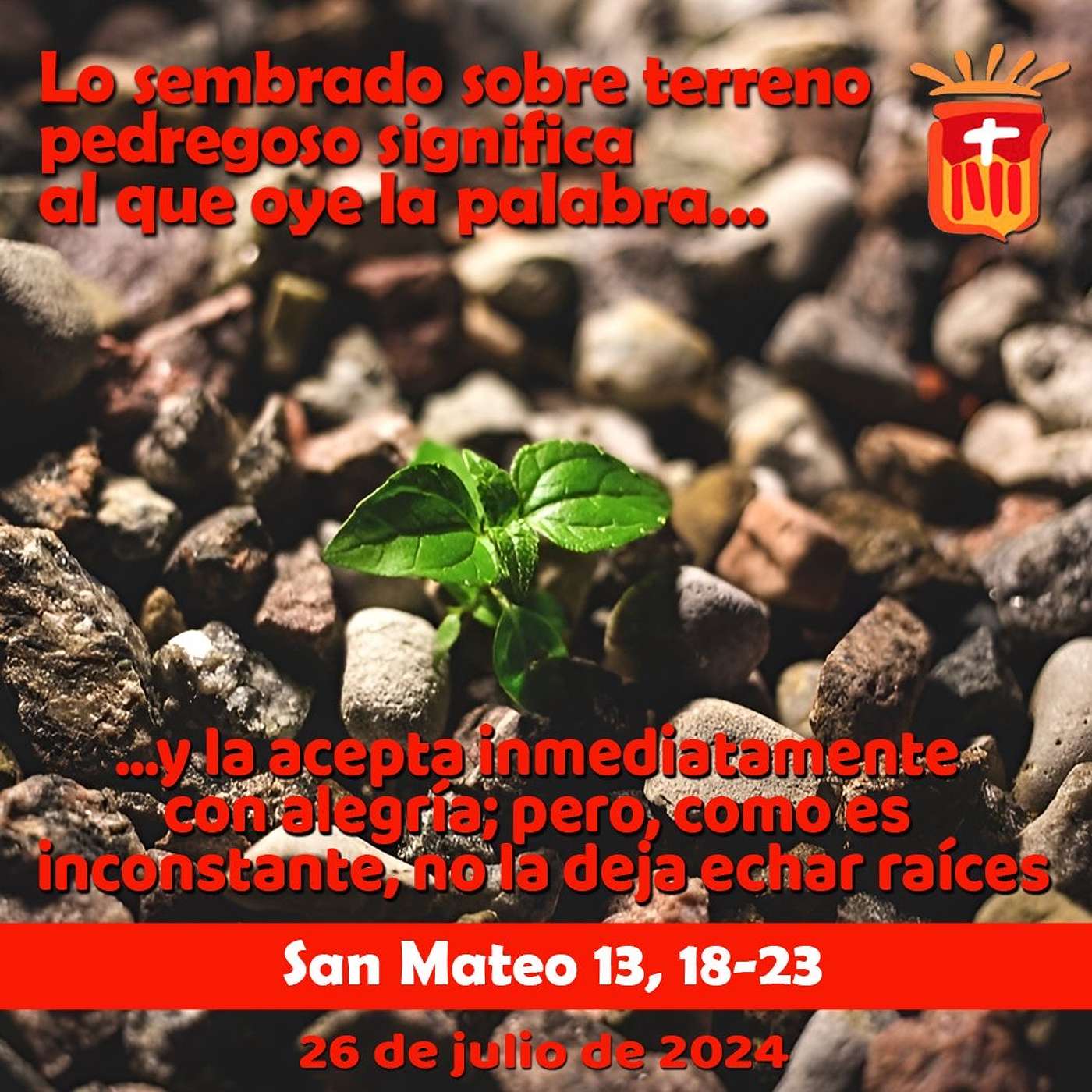 2024-07-26 San Mateo 12, 18-23: Viernes XVI Ordinario.