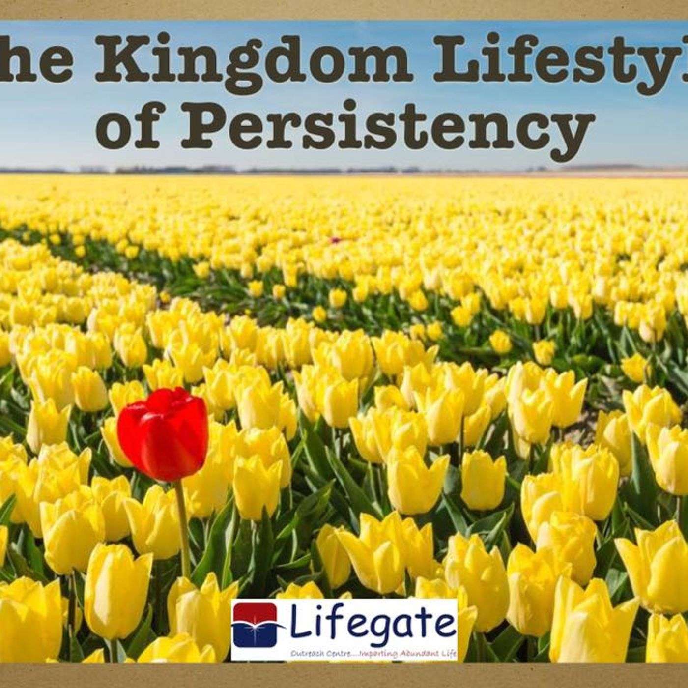 The Kingdom Lifestyle of Persistence episode artwork