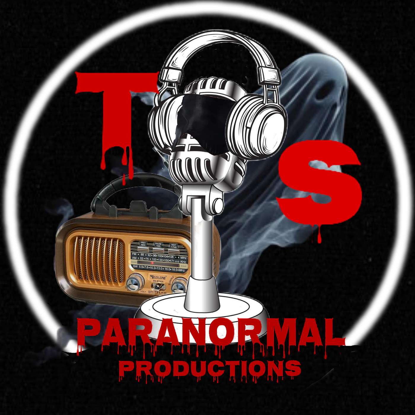 Beyond the Spirits w/ Verona Ghost Chasers & S.O.P.S.