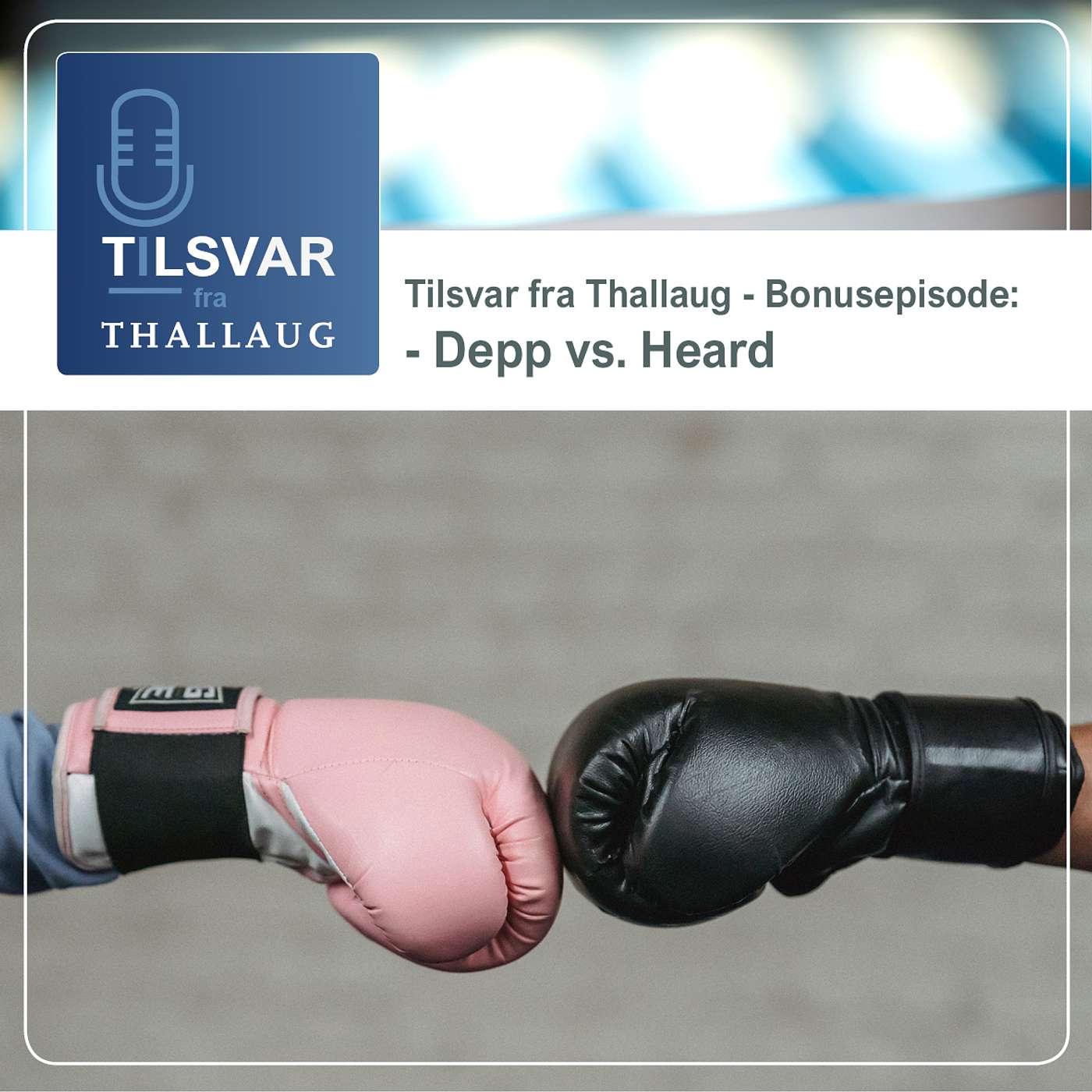 Tilsvar fra Thallaug - Bonusepisode: Depp vs. Heard