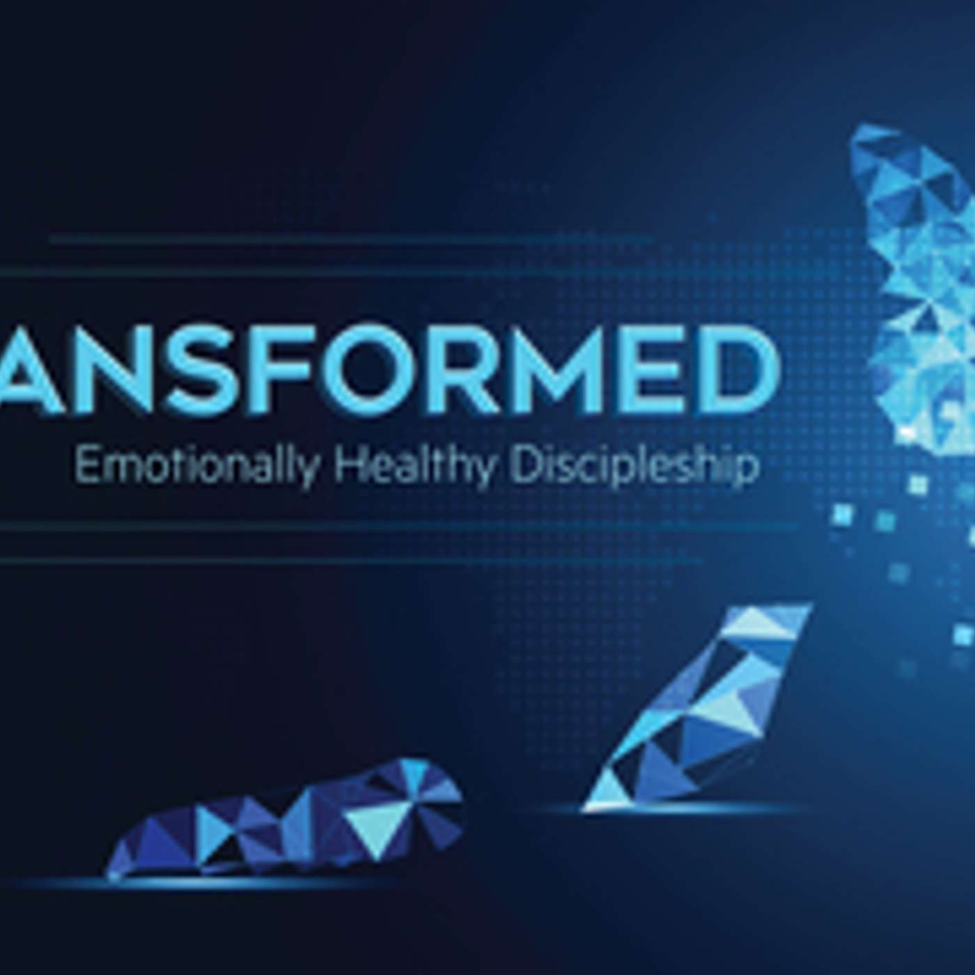TRANSFORMED: The Hard Good episode artwork