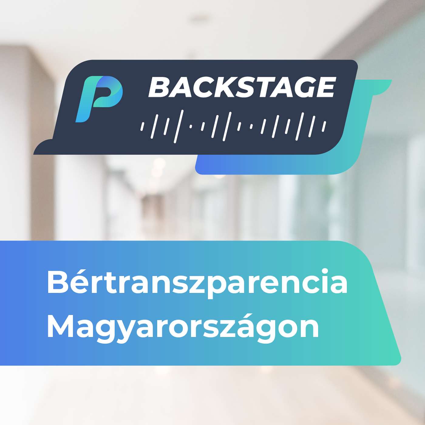 Bértranszparencia Magyarországon – elképzelhetetlen vagy elkerülhetetlen? episode artwork