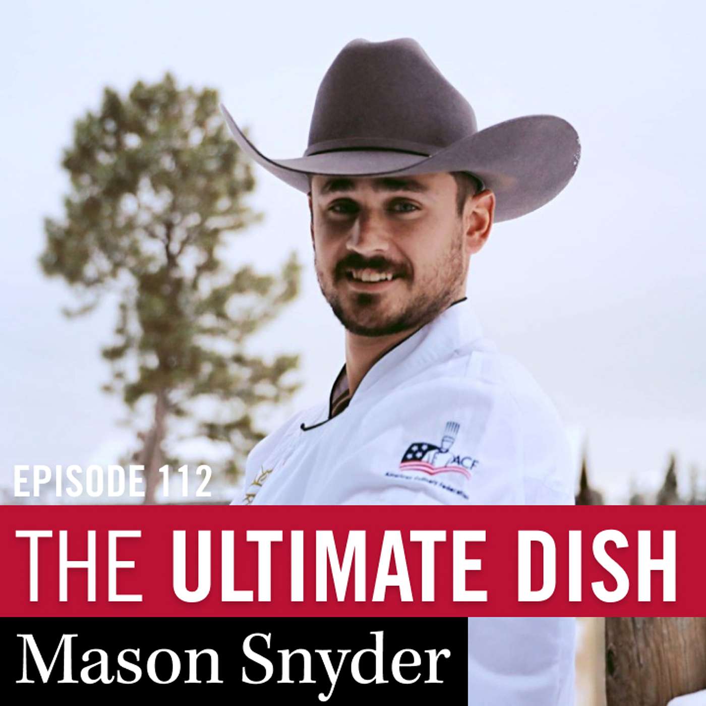 The Ultimate Dish