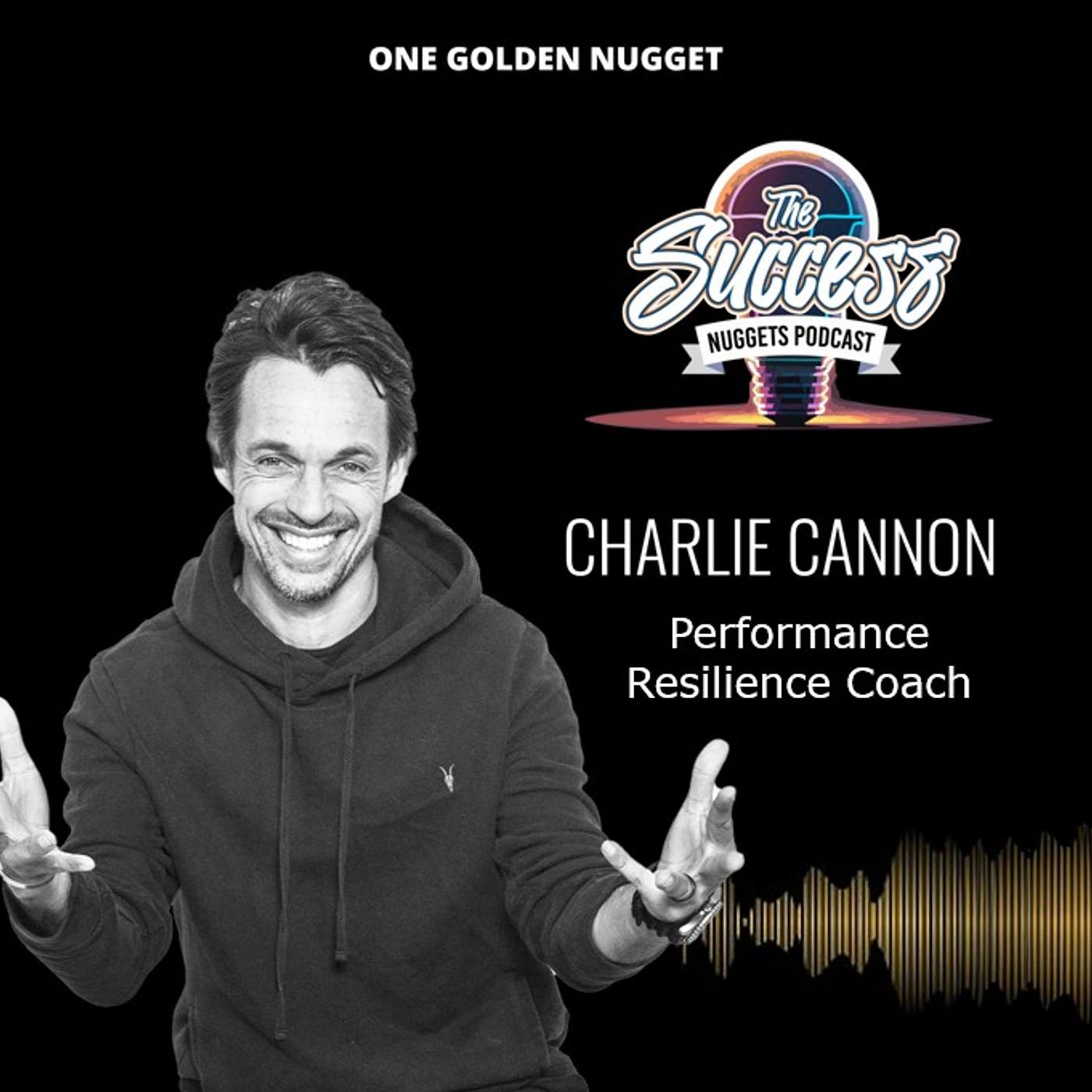 The Success Nuggets