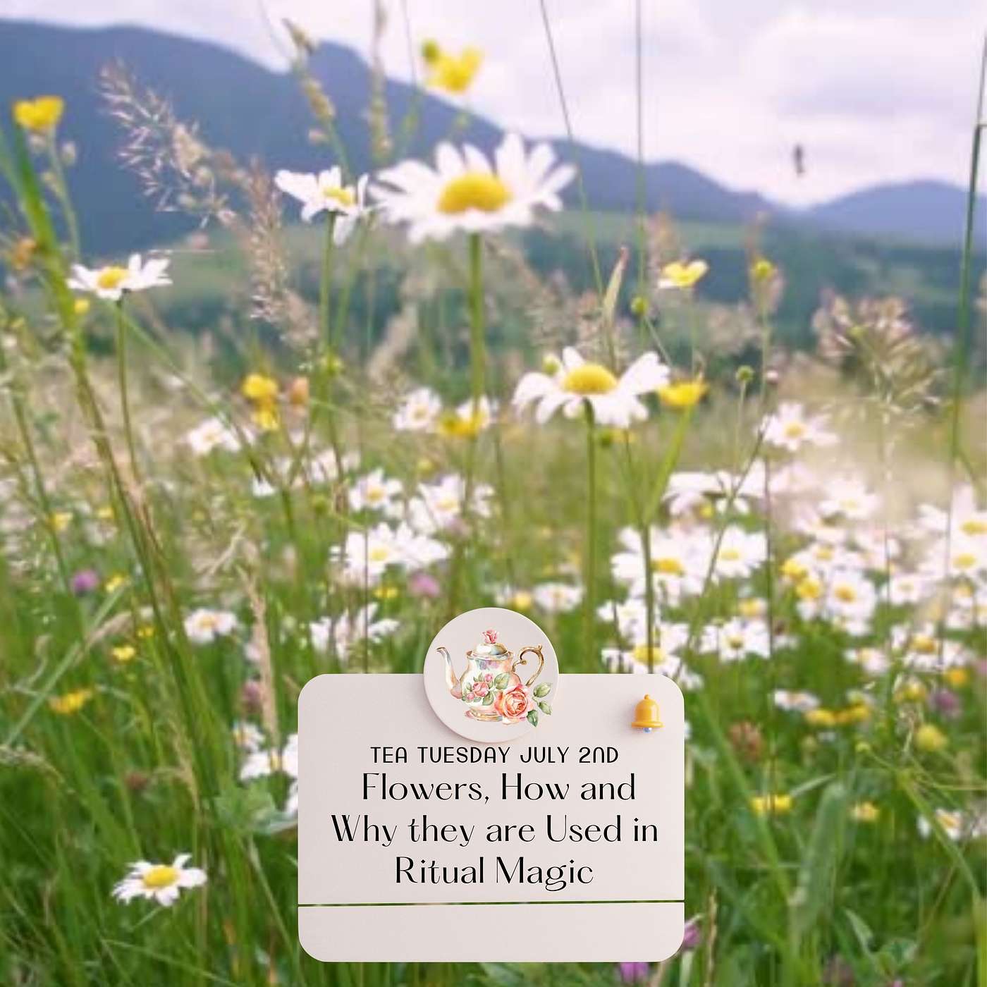 Flowers How and Why They Are Used in Ritual Magic episode artwork