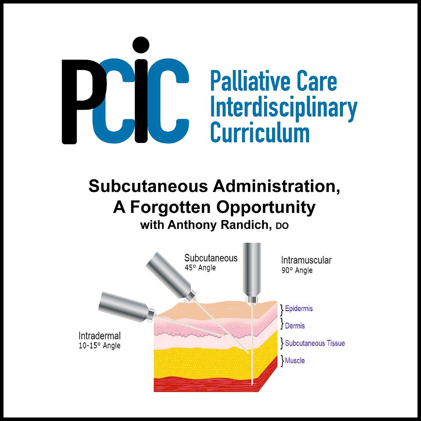 Palliative Care Interdisciplinary  Curriculum