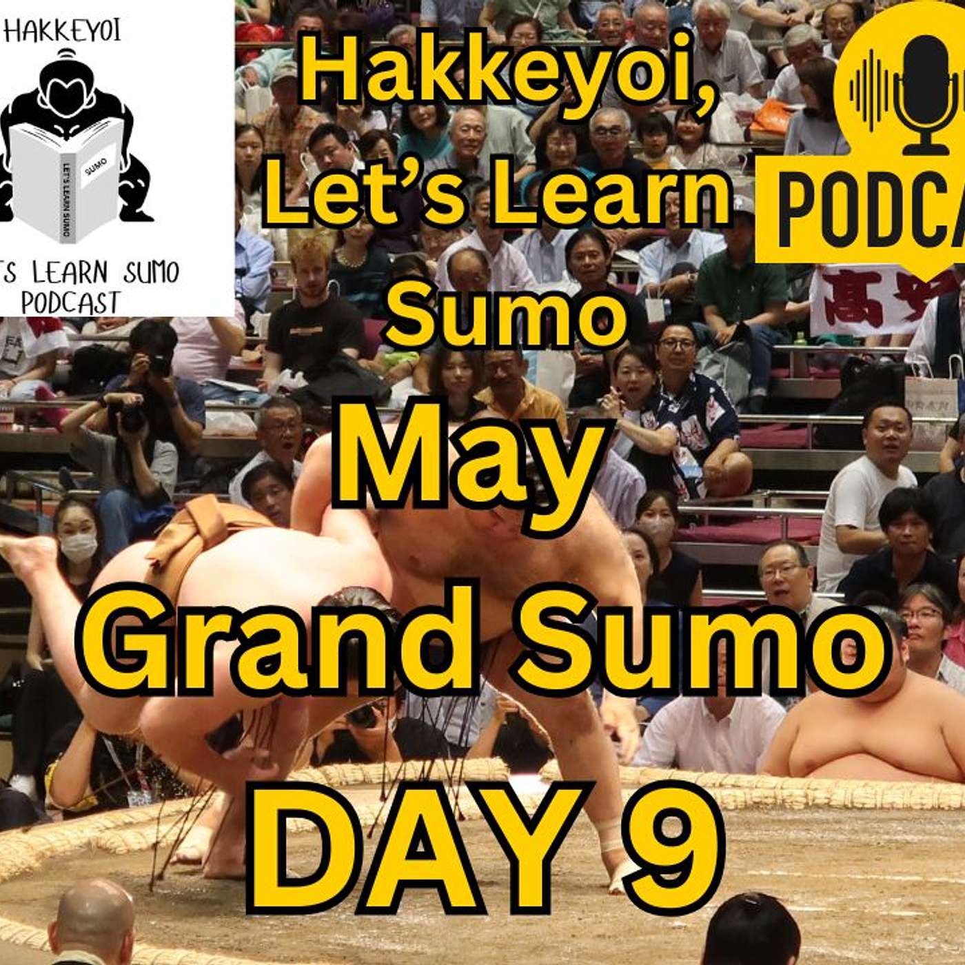 Day 9 May Grand Sumo Tournament episode artwork