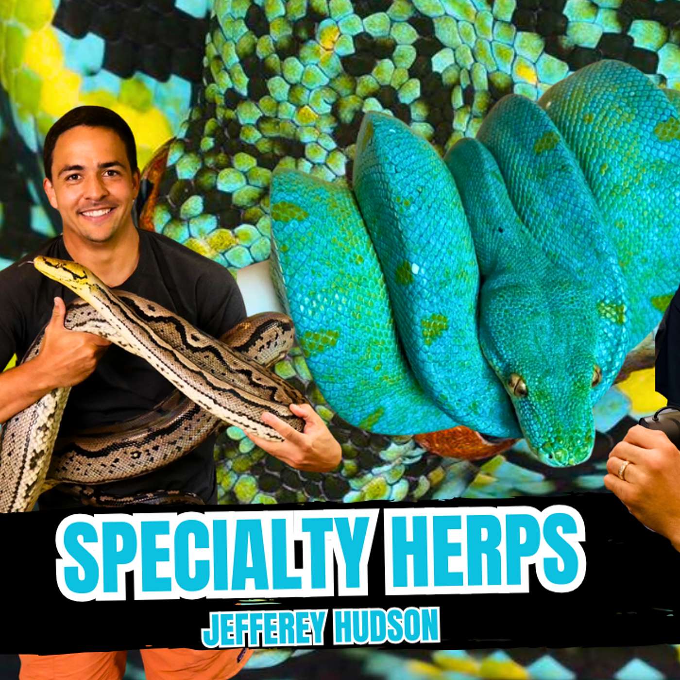 Designer Green Tree Python Lineage... The Future! | All In The Tree Tuesday Ep.755 (Live)