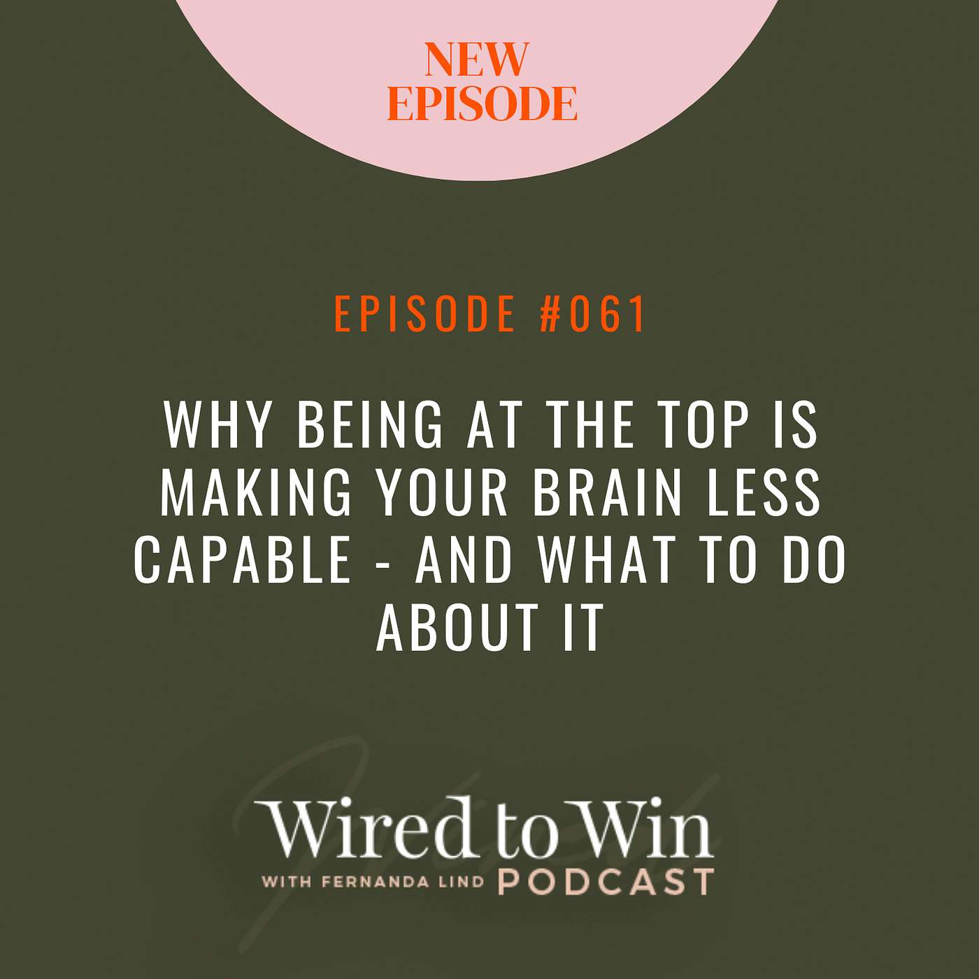 Why Being at the Top Is Making Your Brain Less Capable - And What to Do About It episode artwork