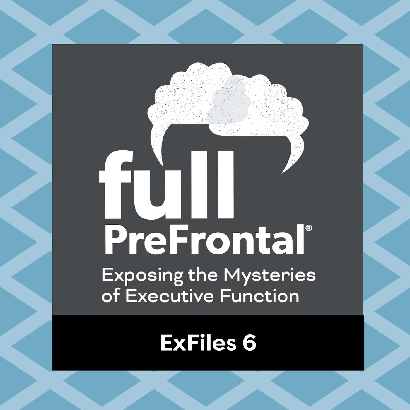 Full PreFrontal: Exposing the Mysteries of Executive Function