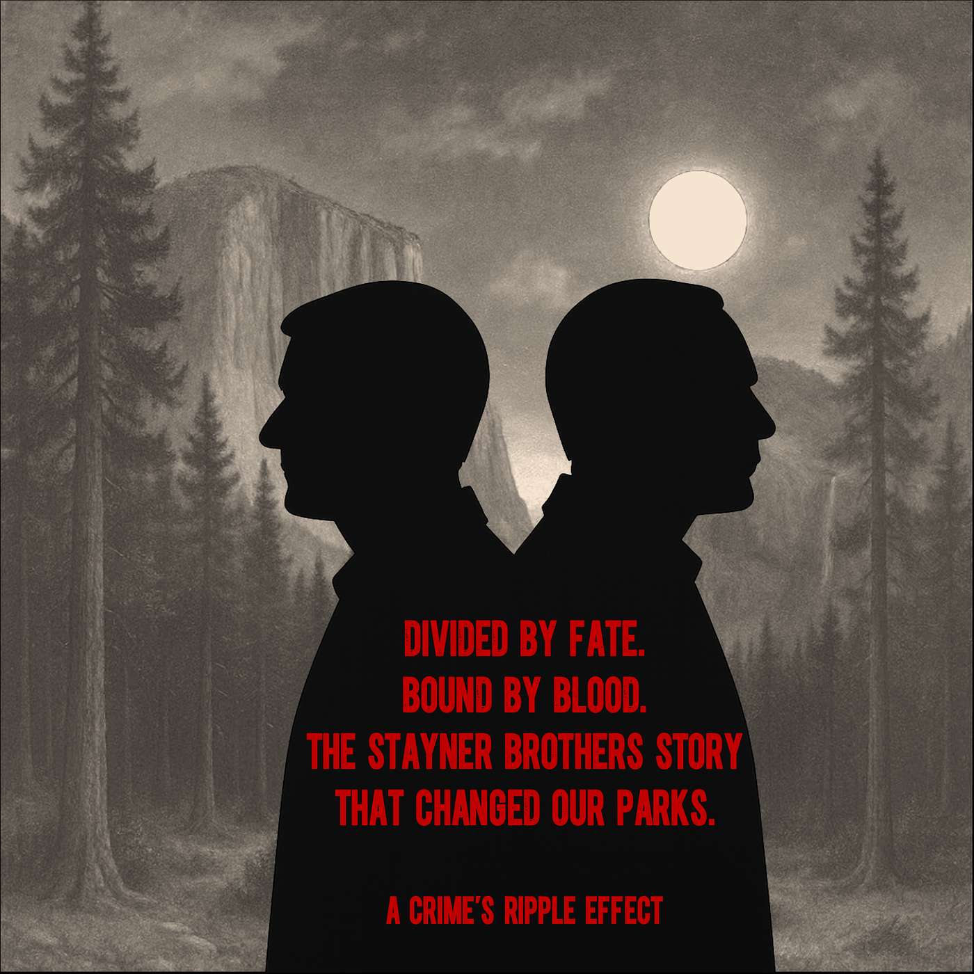 A Crime\'s Ripple Effect