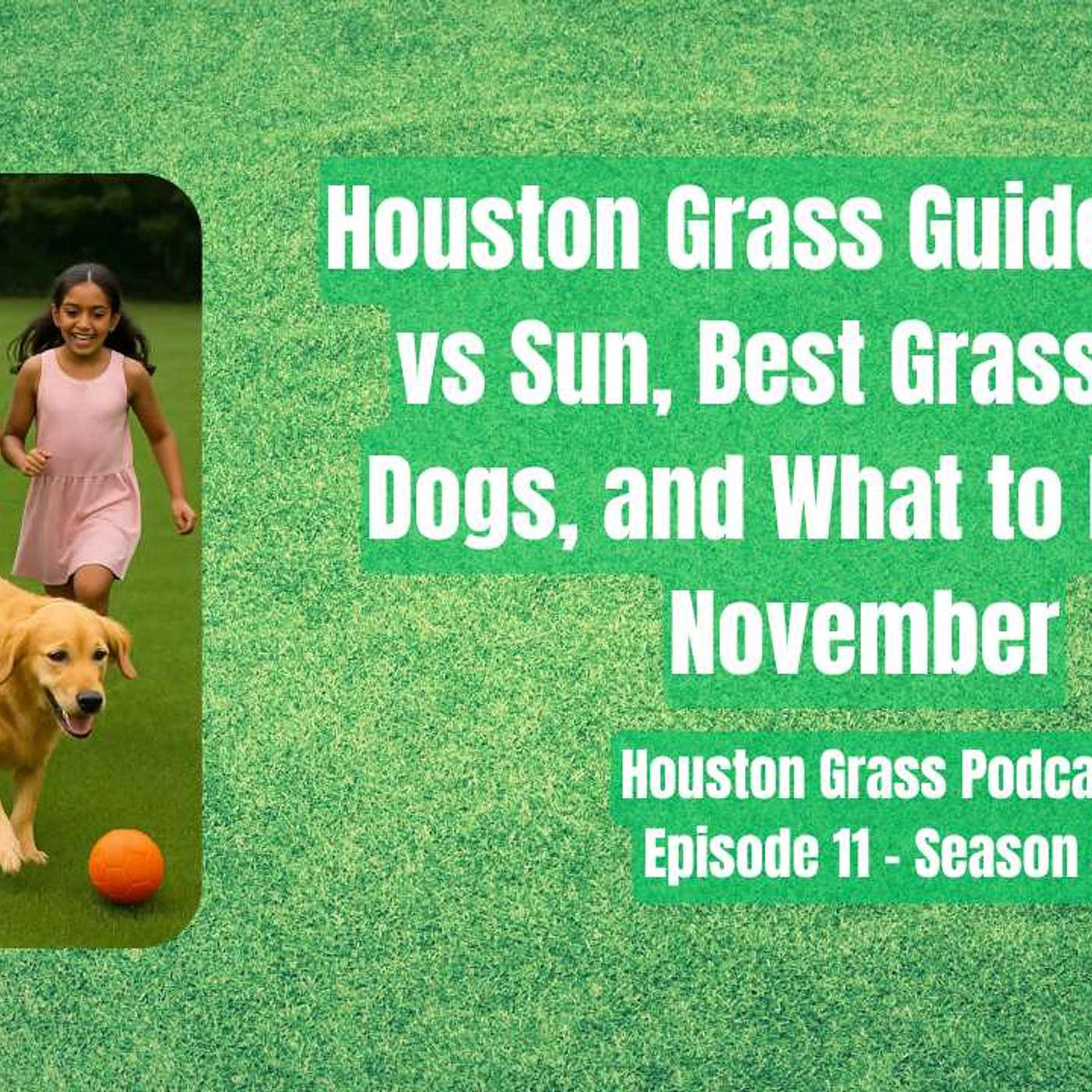 Houston Grass - How to Buy, Install and Care for Grass in the Houston Area