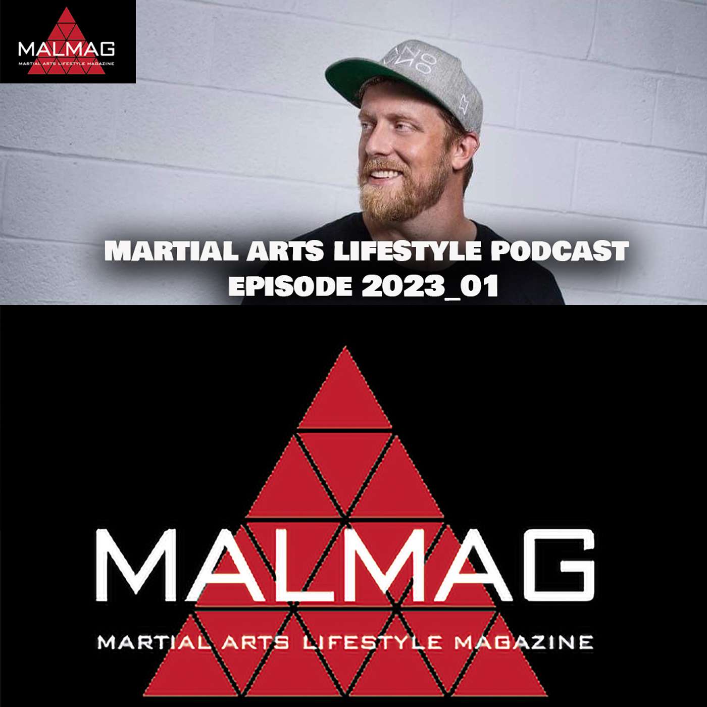 The Martial Arts Lifestyle Podcast