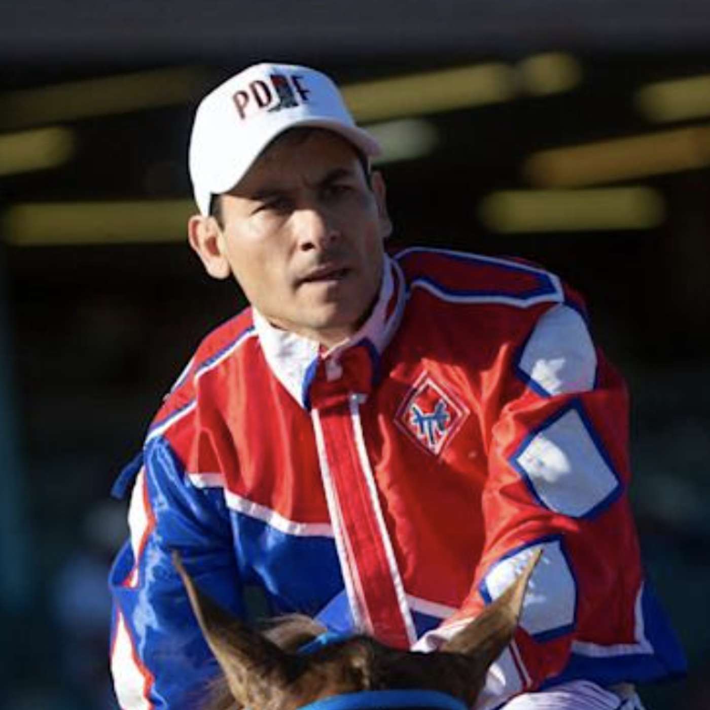 StallioneSearch Podcasts