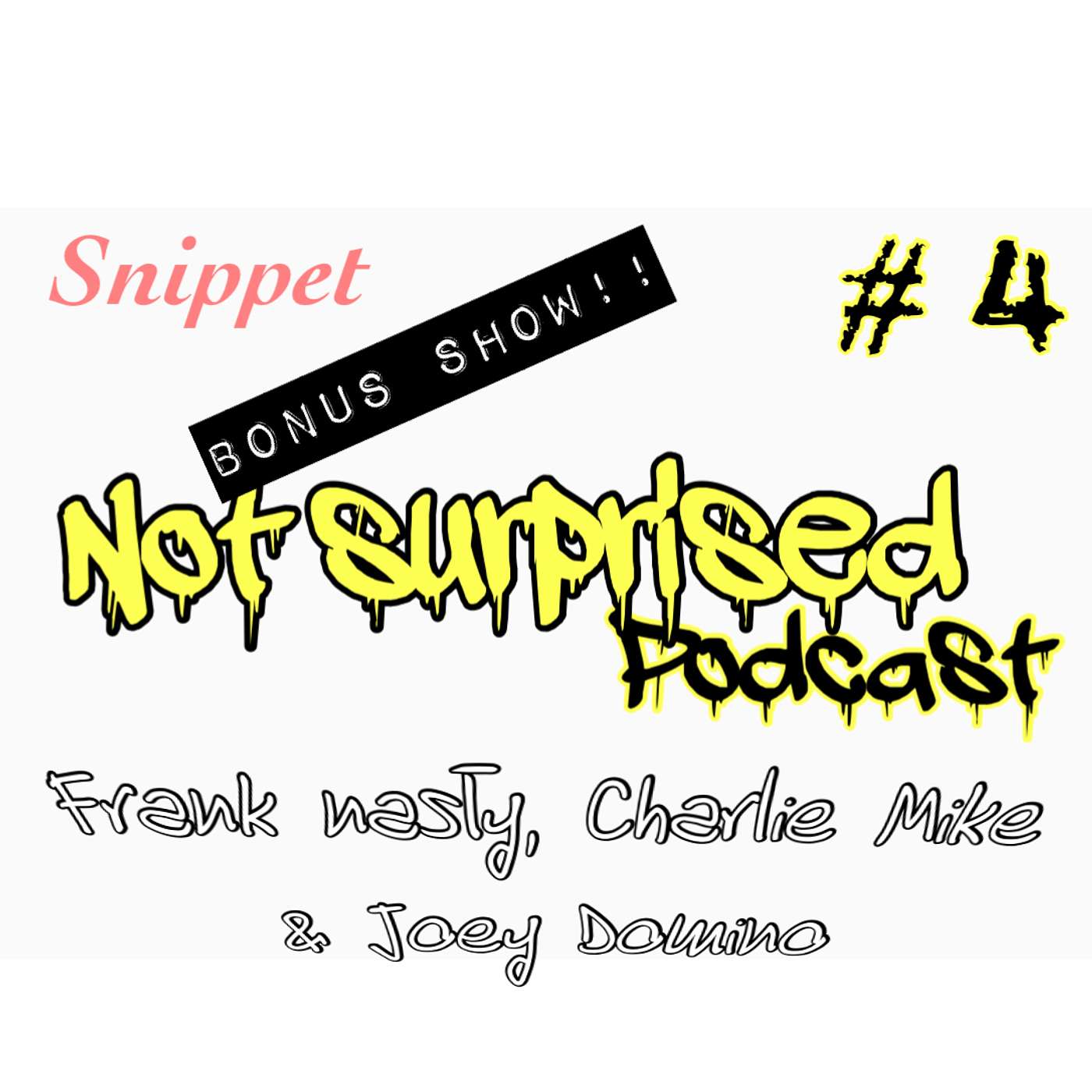 BONUS #4 (SNIPPET)