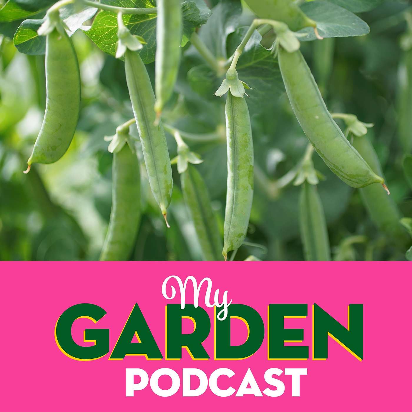 My Garden Podcast - Gardening Podcast