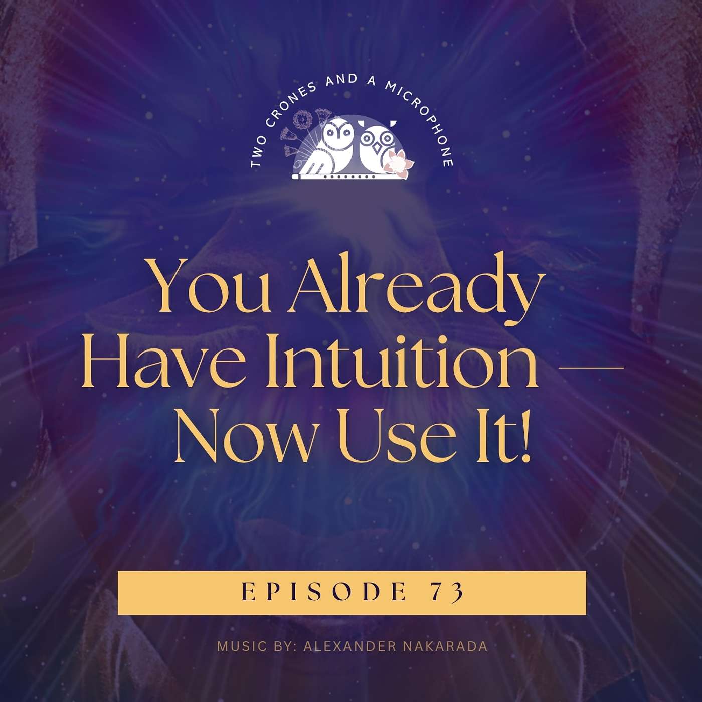 Podcast 73: You Already Have Intuition — Now Use It! (Part 2 of our Intuition Series) episode artwork