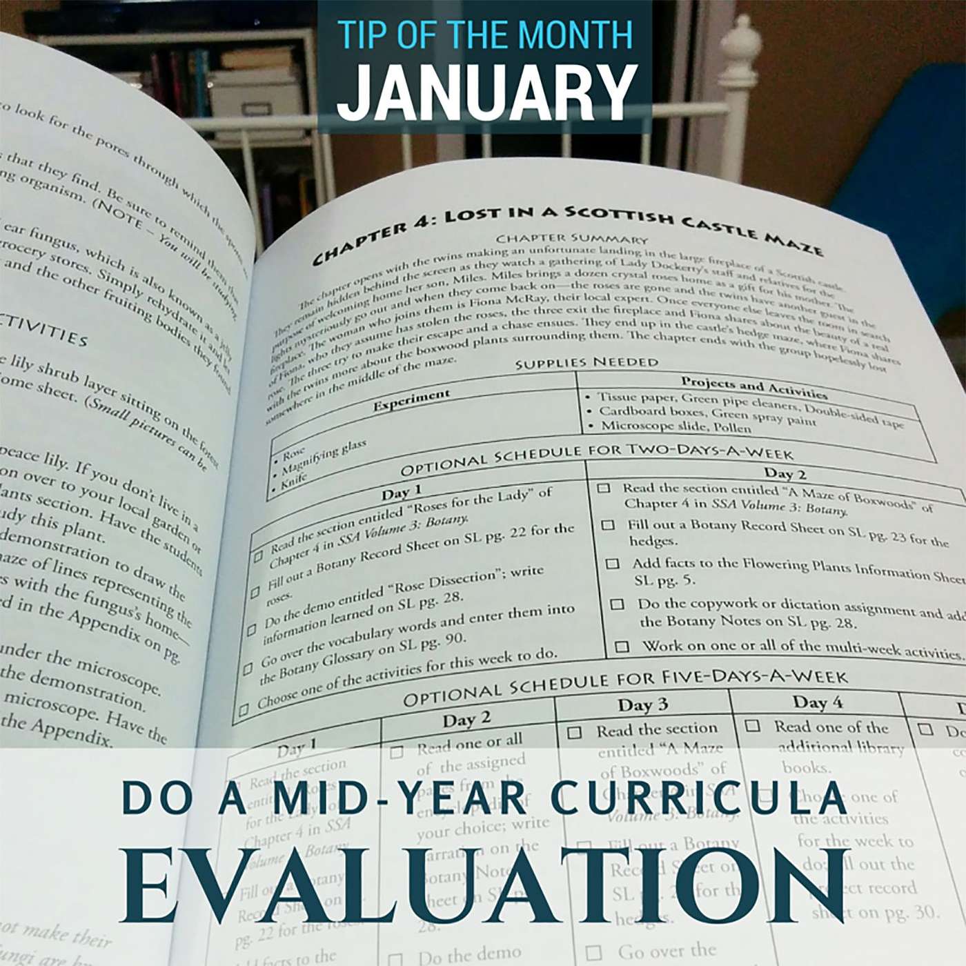 Mid-year Evaluation {Homeschool Science Tip of the Month January 2018}