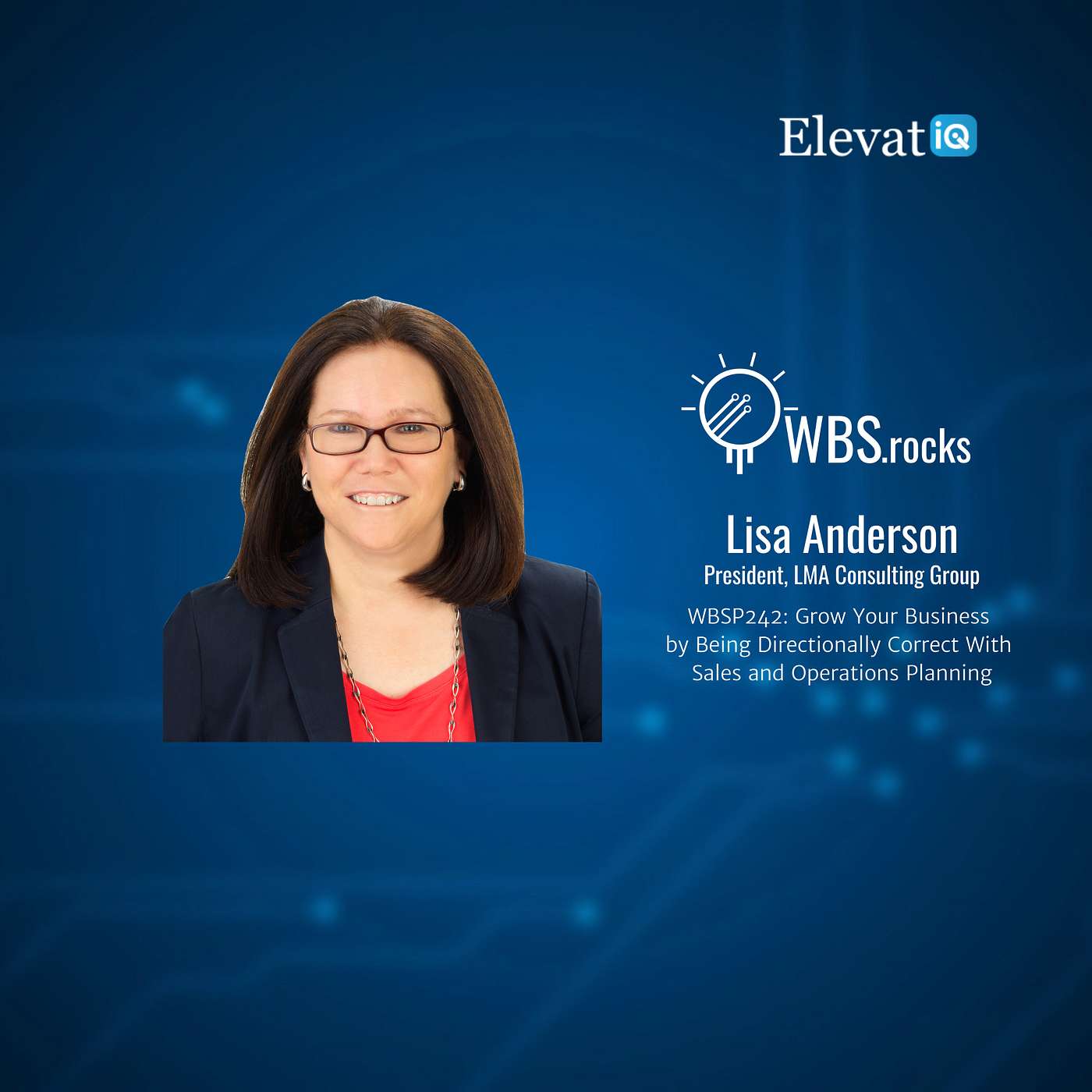 WBSP242: Grow Your Business by Being Directionally Correct With Sales and Operations Planning w/ Lisa Anderson