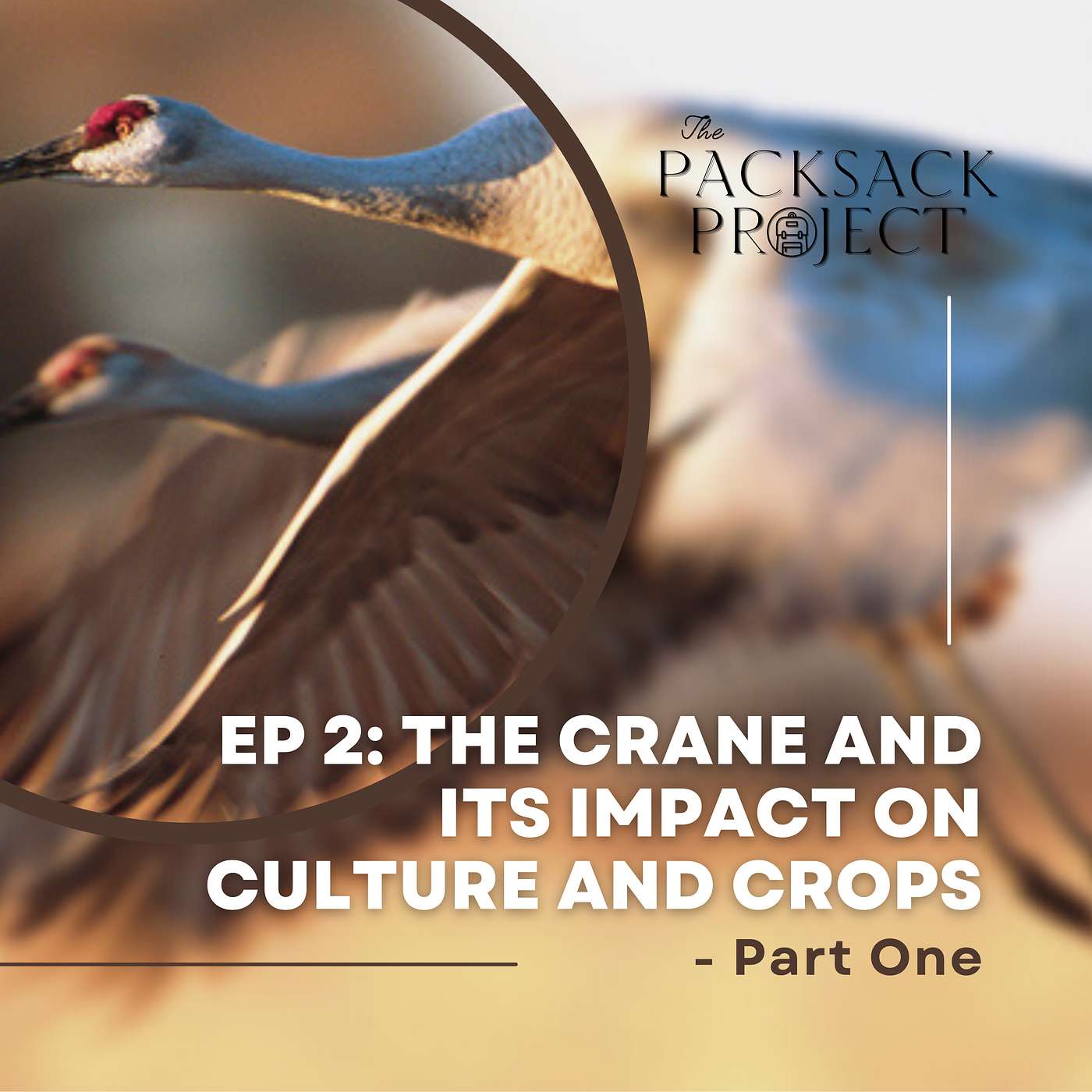 The Packsack Project