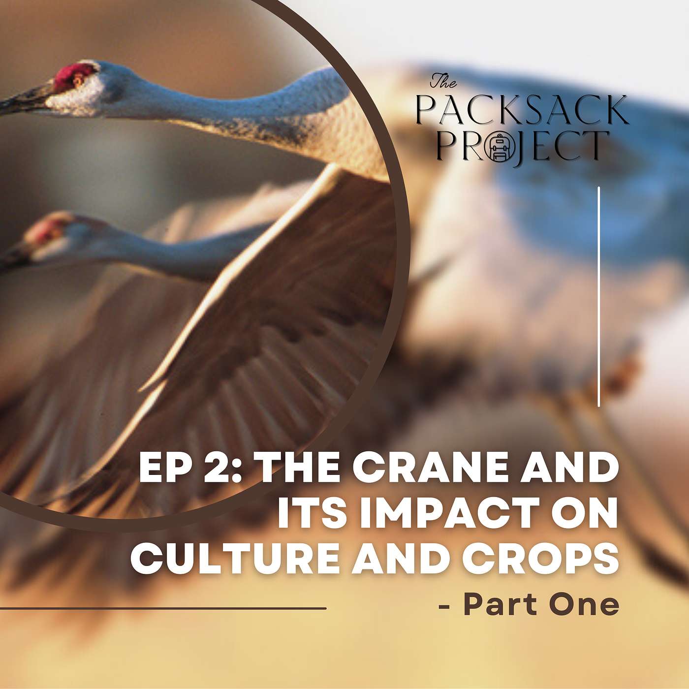 The Crane and its Impact on Culture & Crops