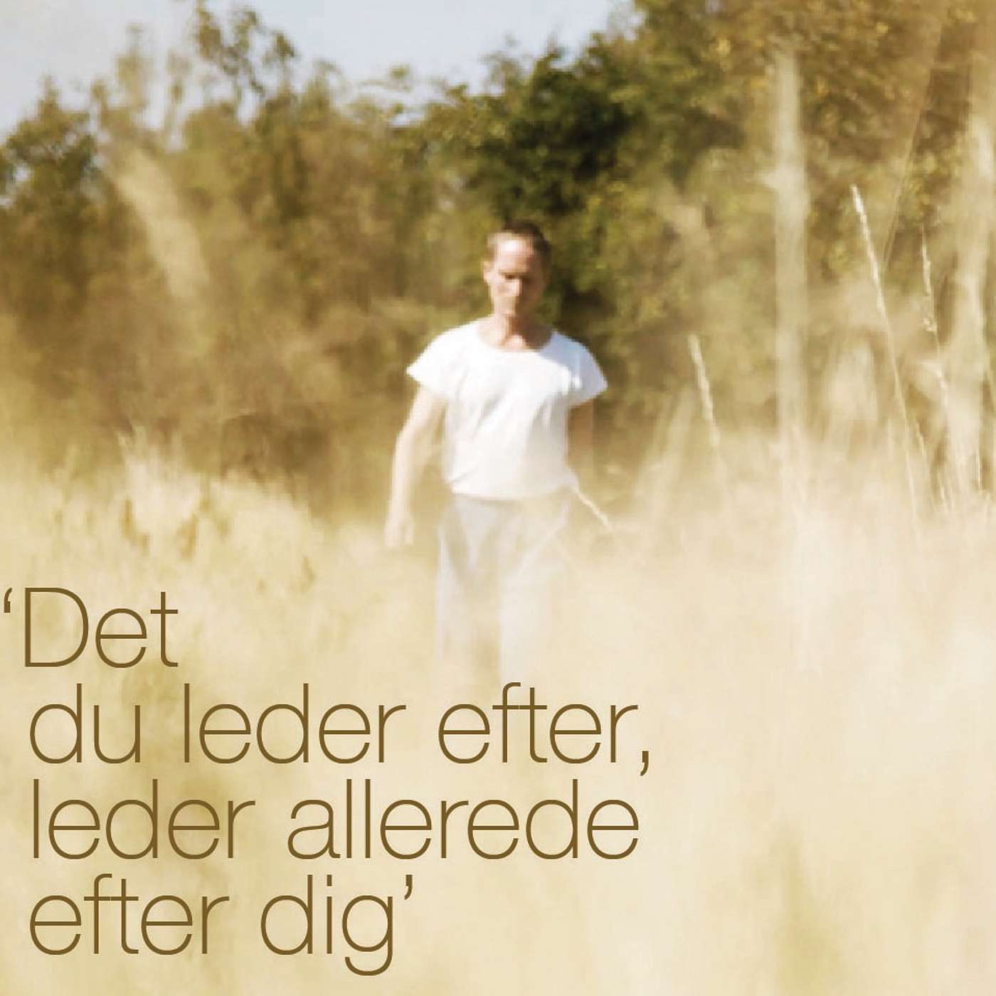 Meditation: "DET DU LEDER EFTER, LEDER ALLEREDE EFTER DIG" | Peter Høeg