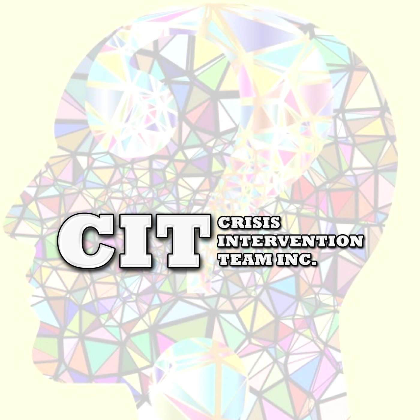 Crisis Intervention Team (CIT) Minute