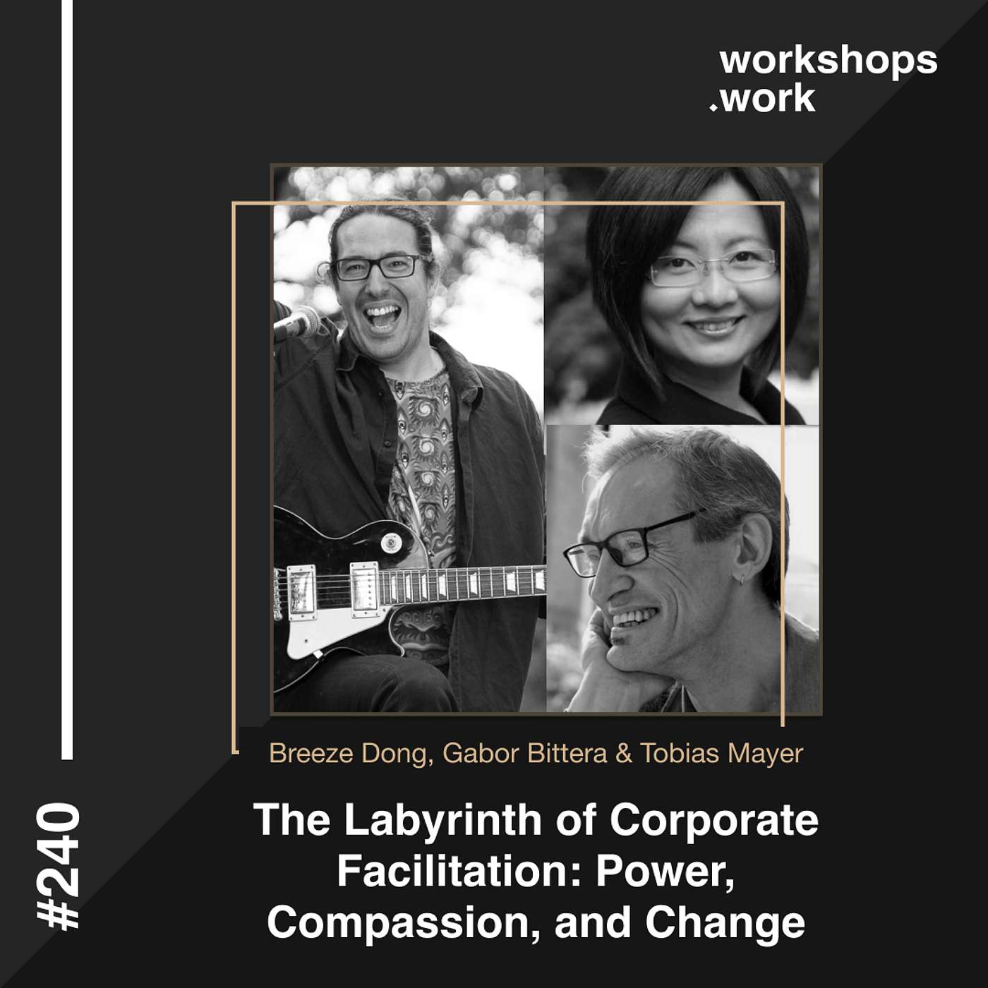 240 - The Labyrinth of Corporate Facilitation: Power, Compassion, and Change with Breeze Dong, Gabor Bittera & Tobias Mayer