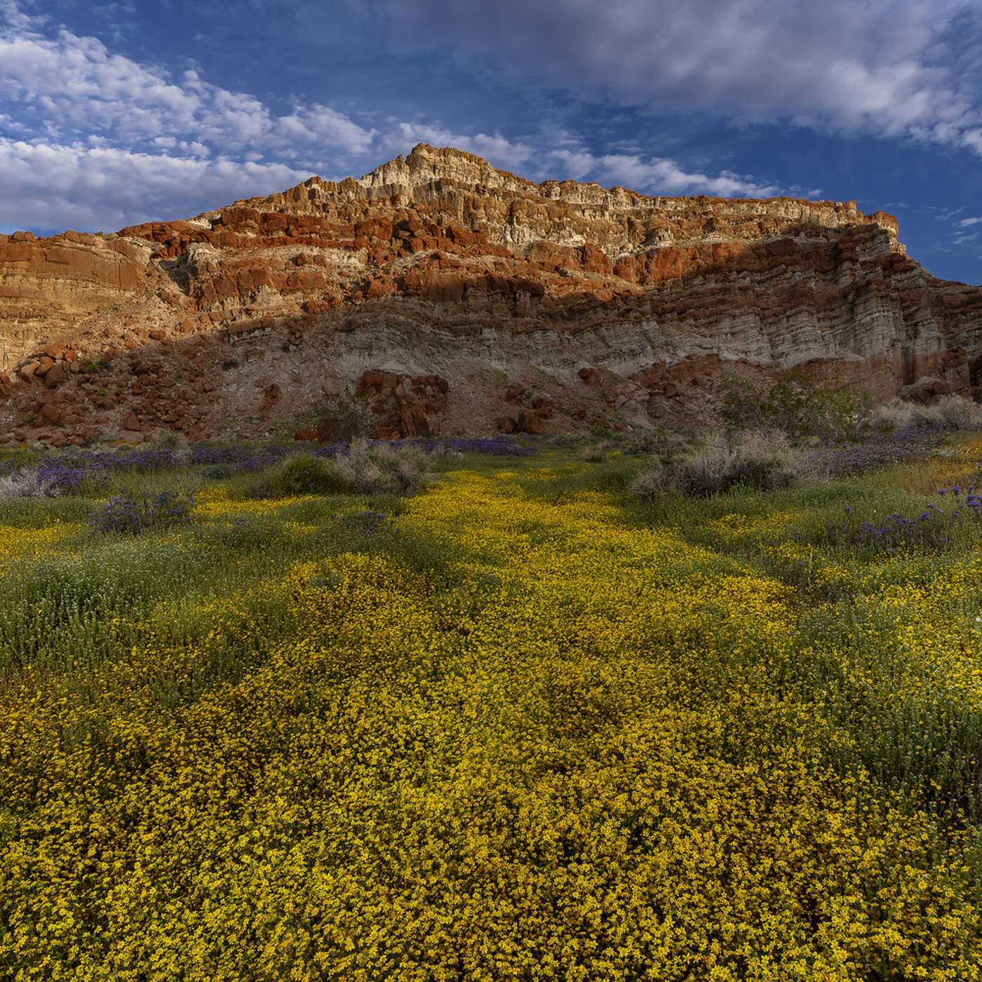 One Ranger's Quest To Save His Beloved Desert One Ranger's Quest To Save His Beloved Desert