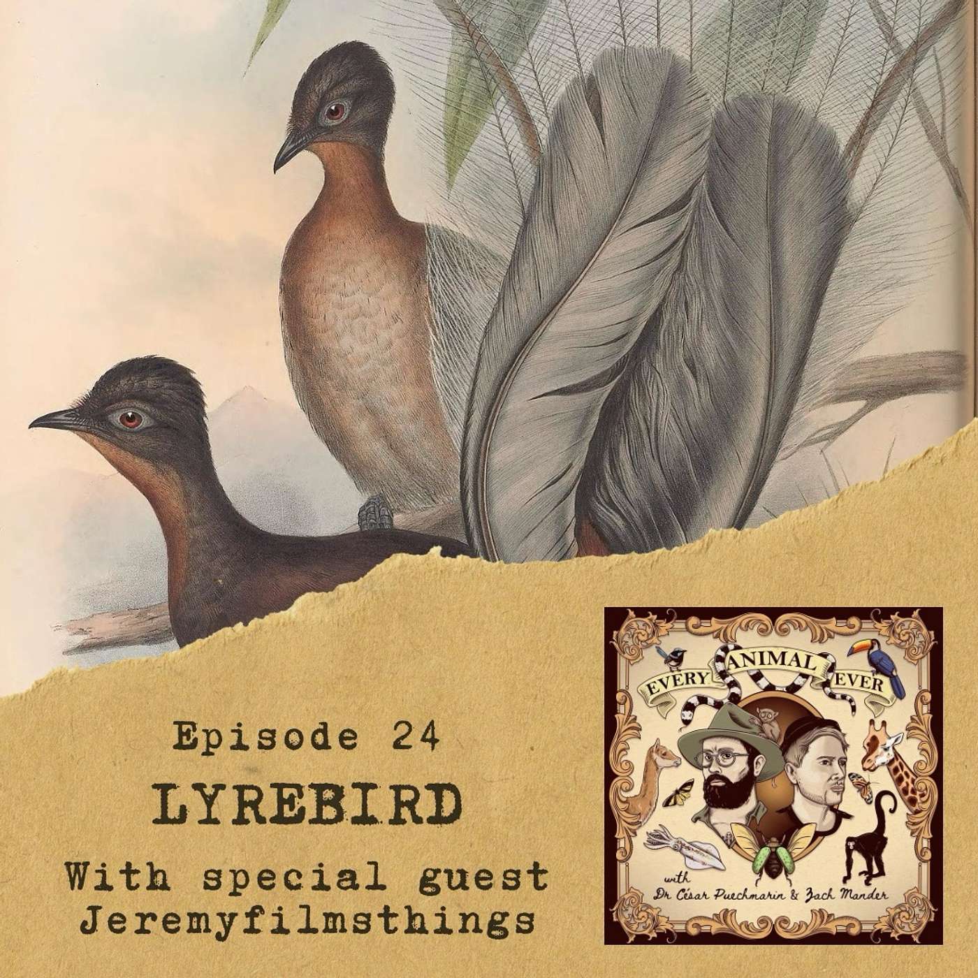 25 - Lyrebird - with guest Jeremyfilmsthings