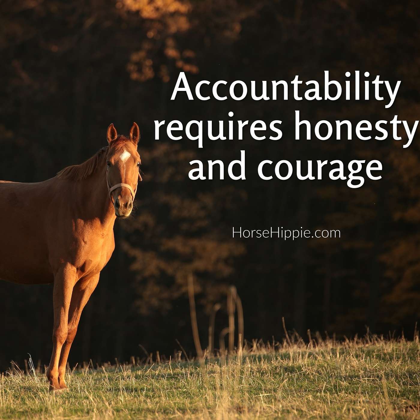 Accountability