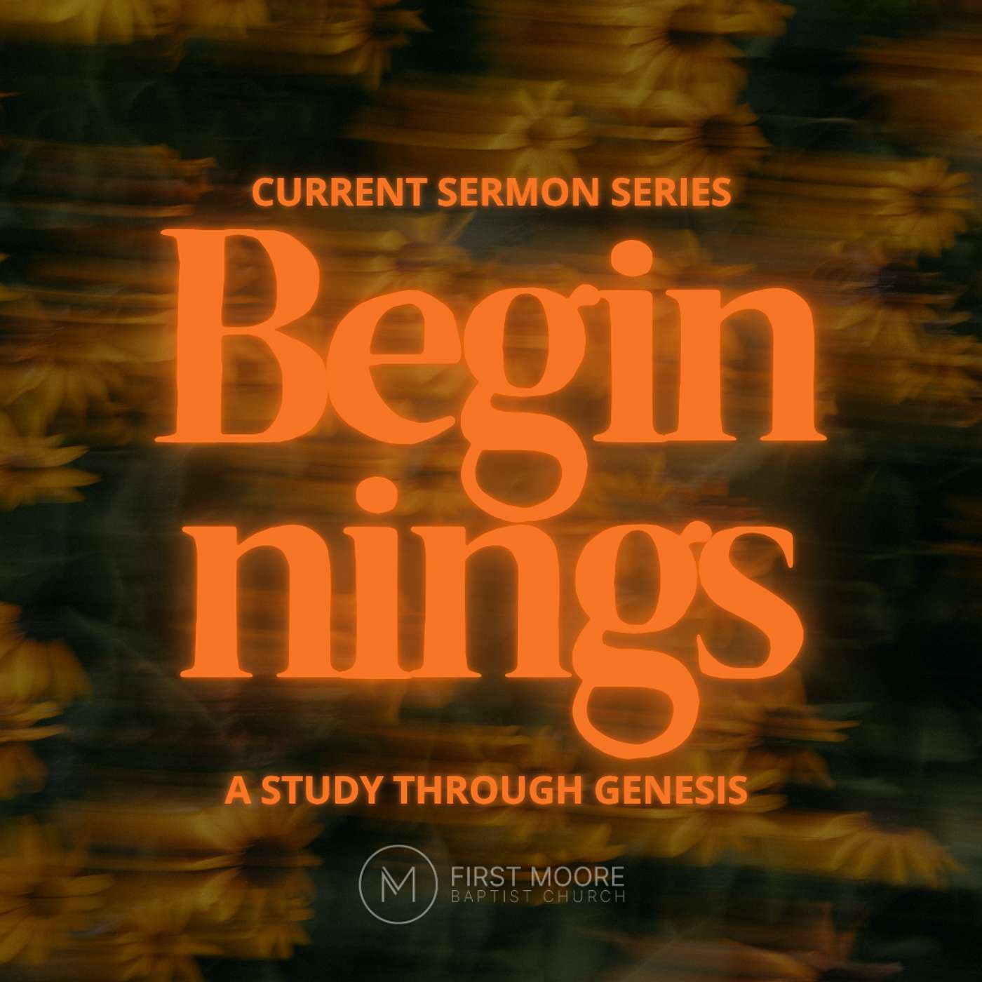 Views of Creation & What We Need To Agree On episode artwork