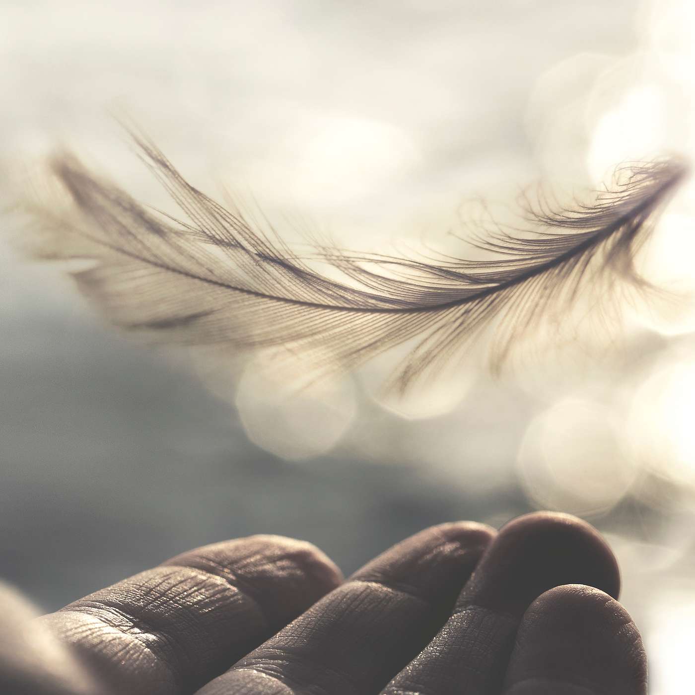 Freewill or Destiny? Which One is More Powerful? Freewill or Destiny? Which One is More Powerful?