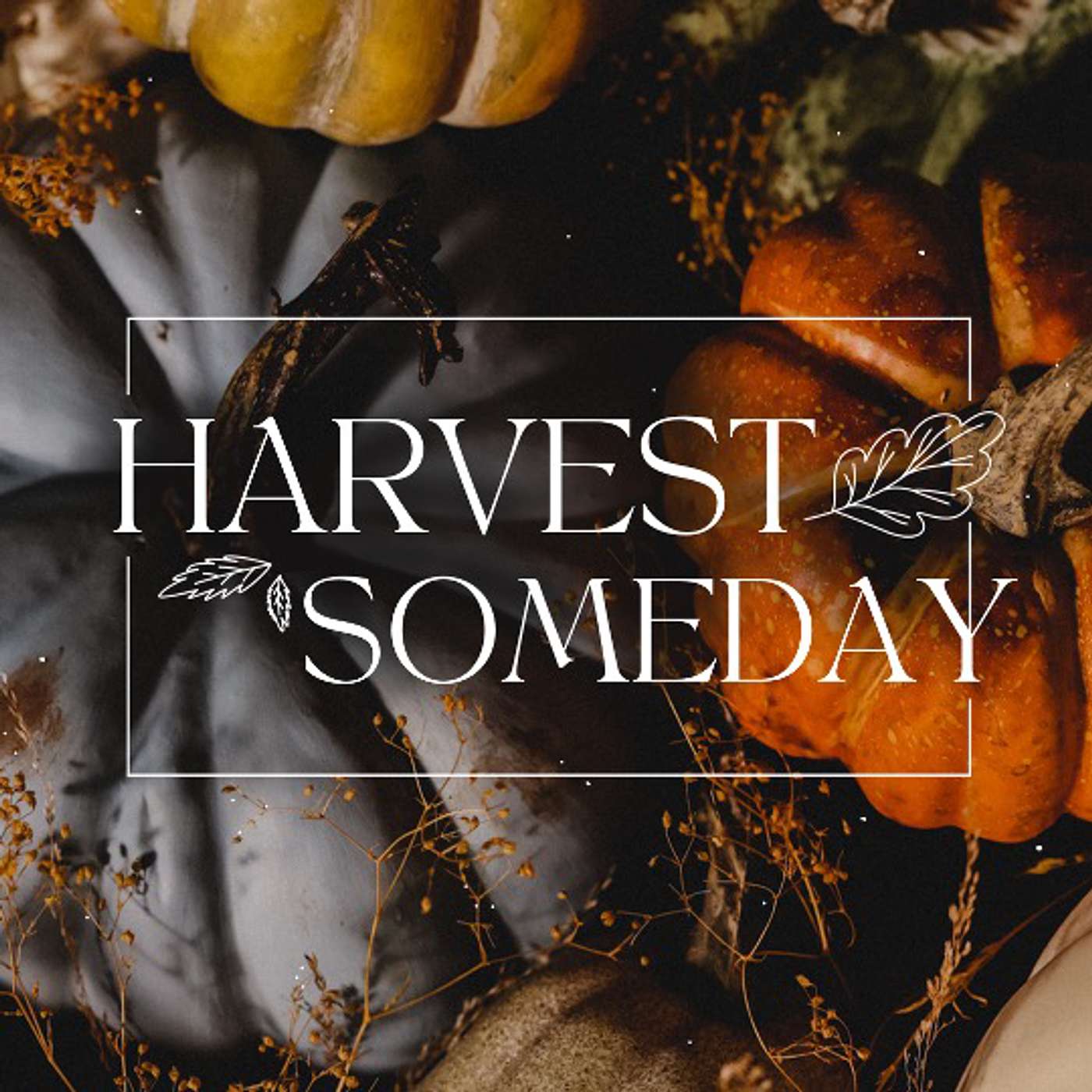 Harvest Someday episode artwork