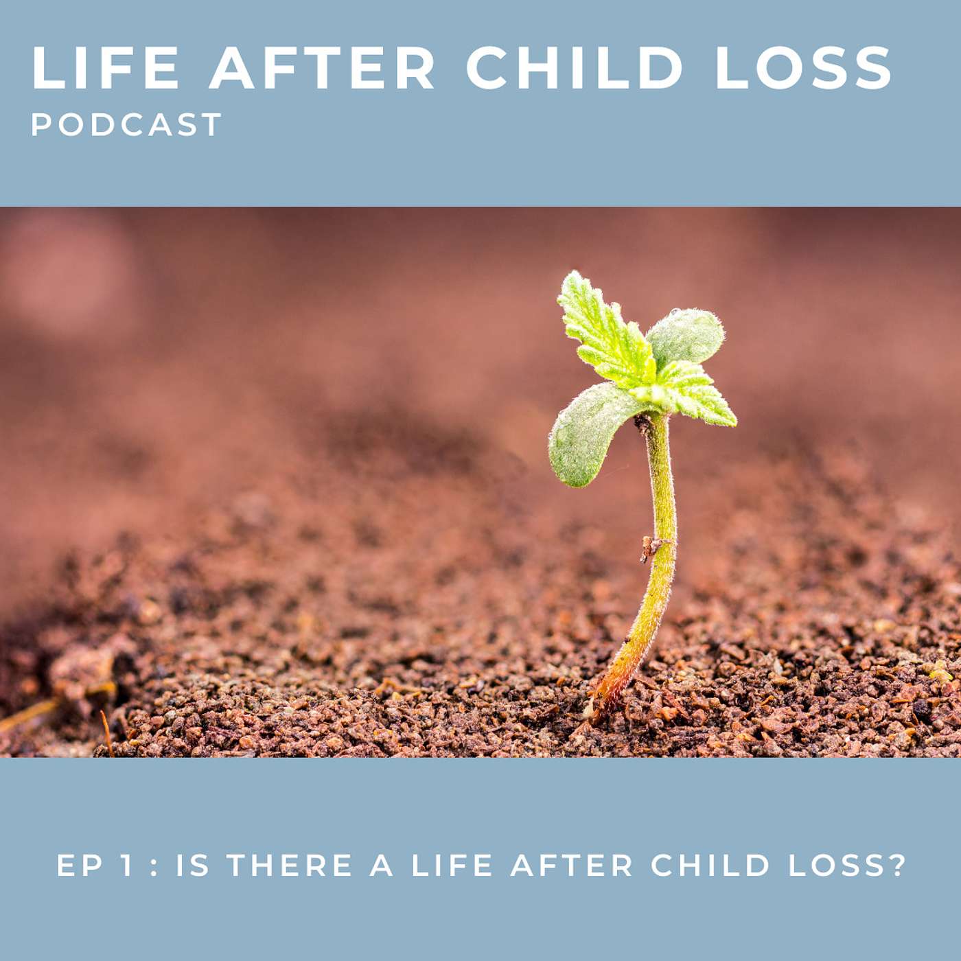 Life After Child Loss