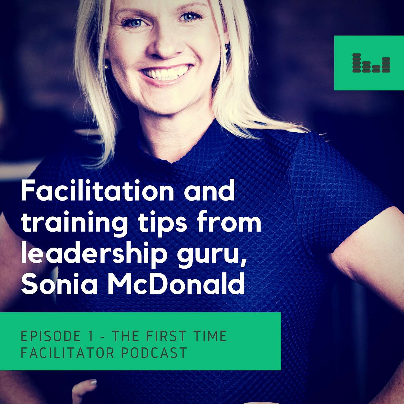 Just Rock It! Facilitation and training tips from leadership guru Sonia McDonald (Episode 1)