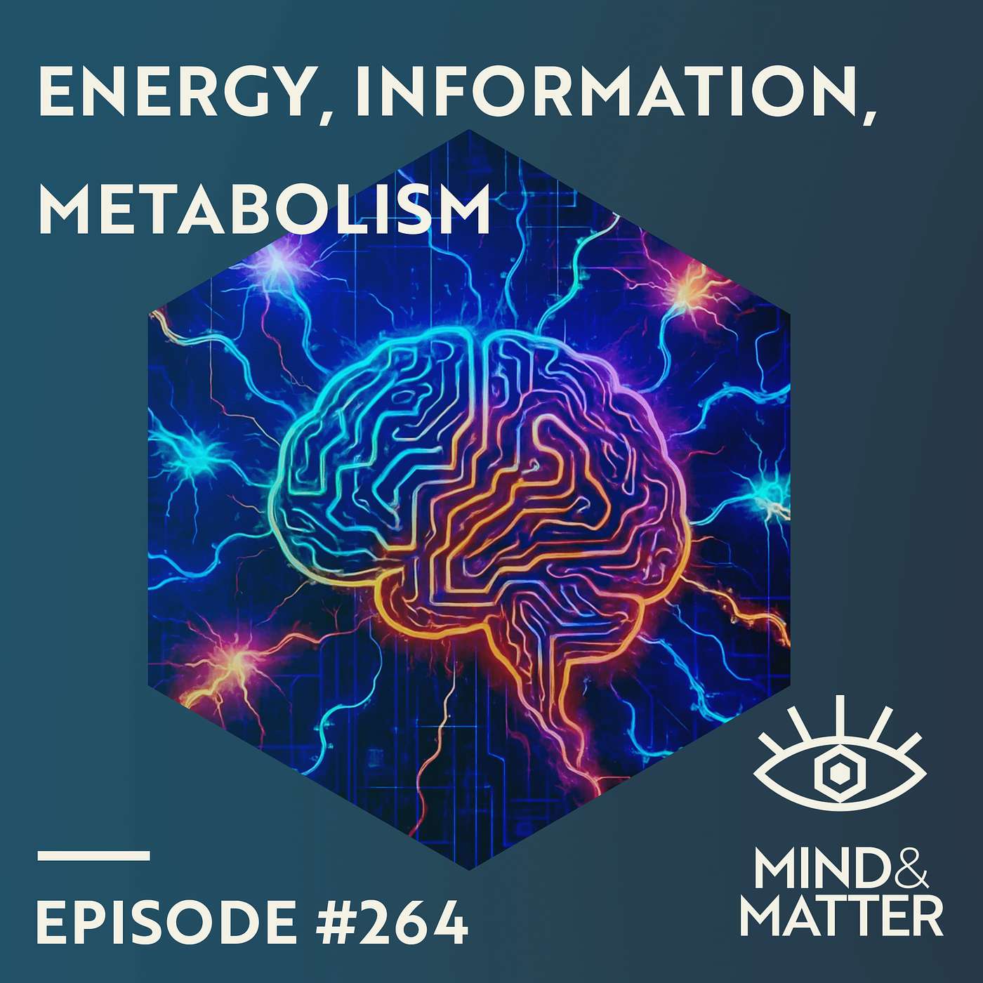 Energy Metabolism & Information Processing in the Brain | Luis Felipe Barros | 264