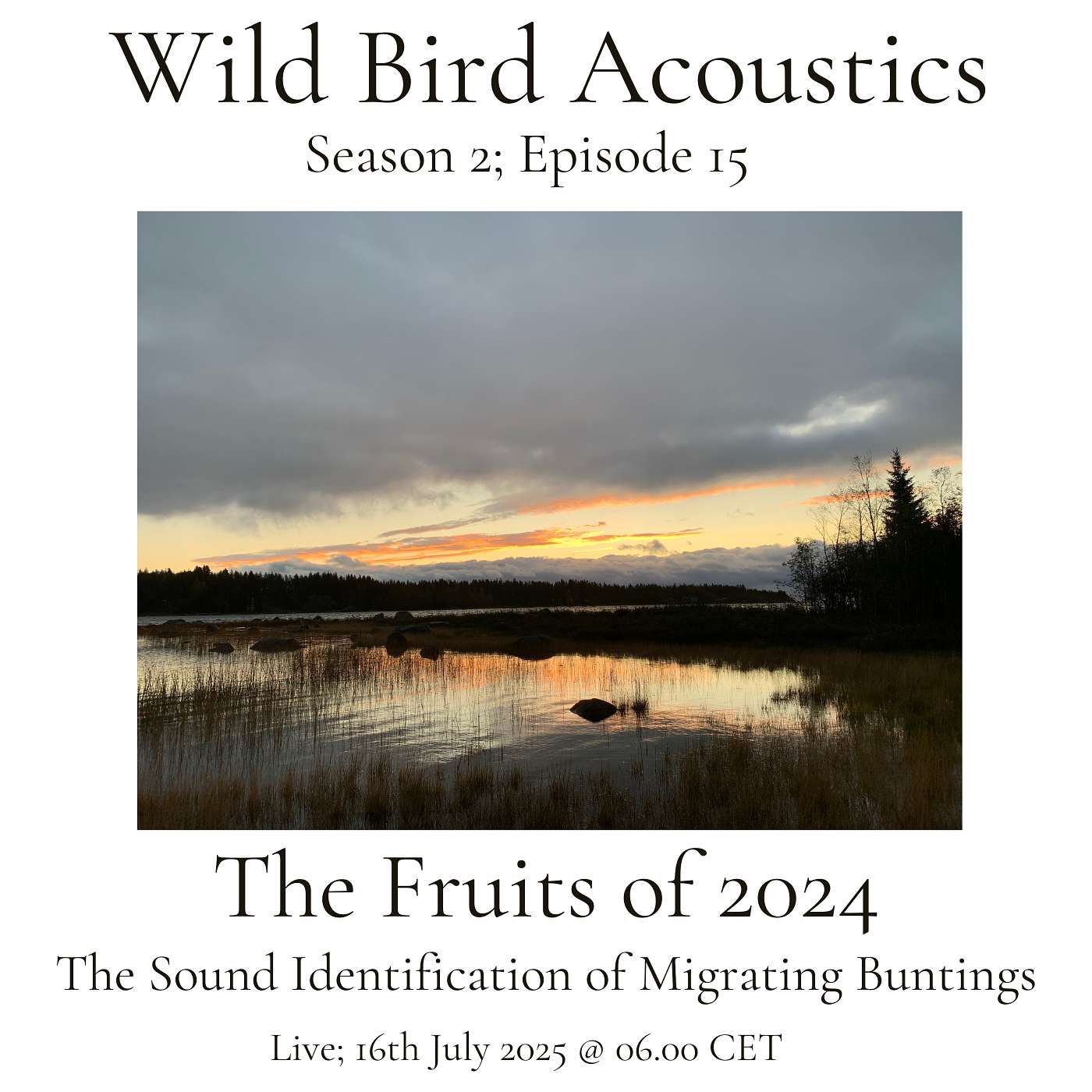 Wild Bird Acoustics