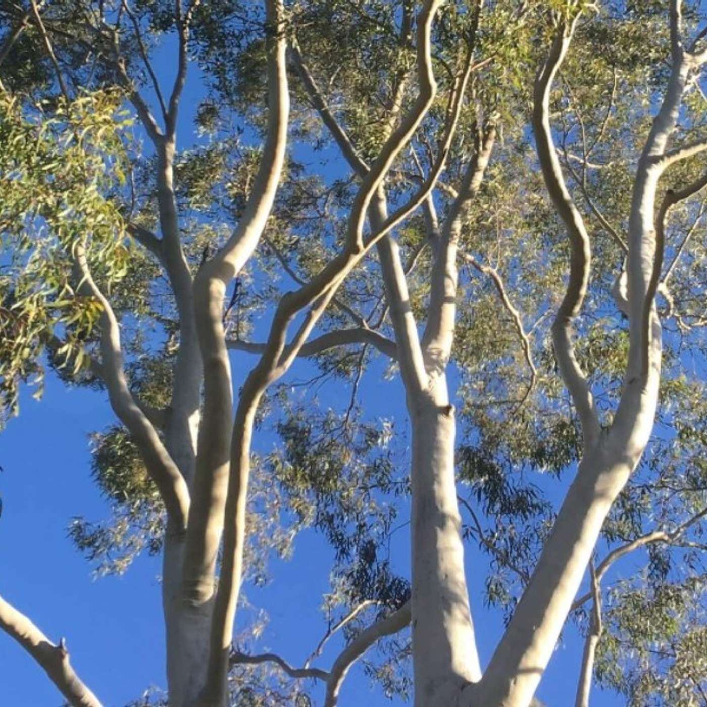 Do you see this woman?