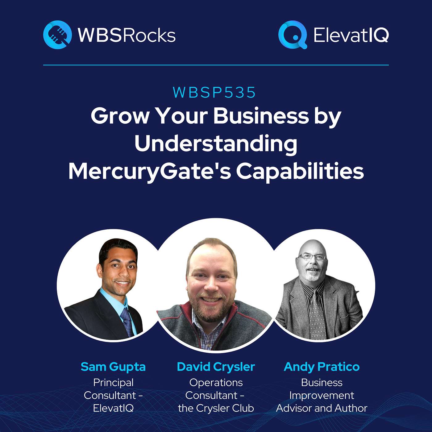 WBSP535: Grow Your Business by Understanding MercuryGate's Capabilities, an Objective Panel Discussion