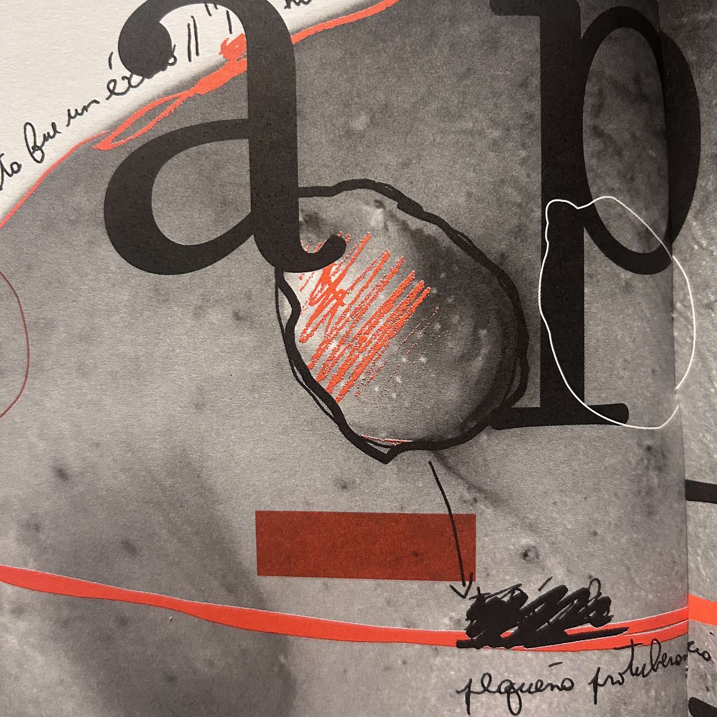 🇫🇷 Episode 22 - Patate enveloppée