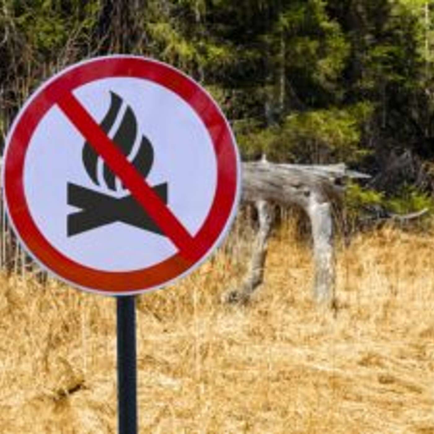 Flagstaff Announces Stage 2 Fire Restrictions episode artwork