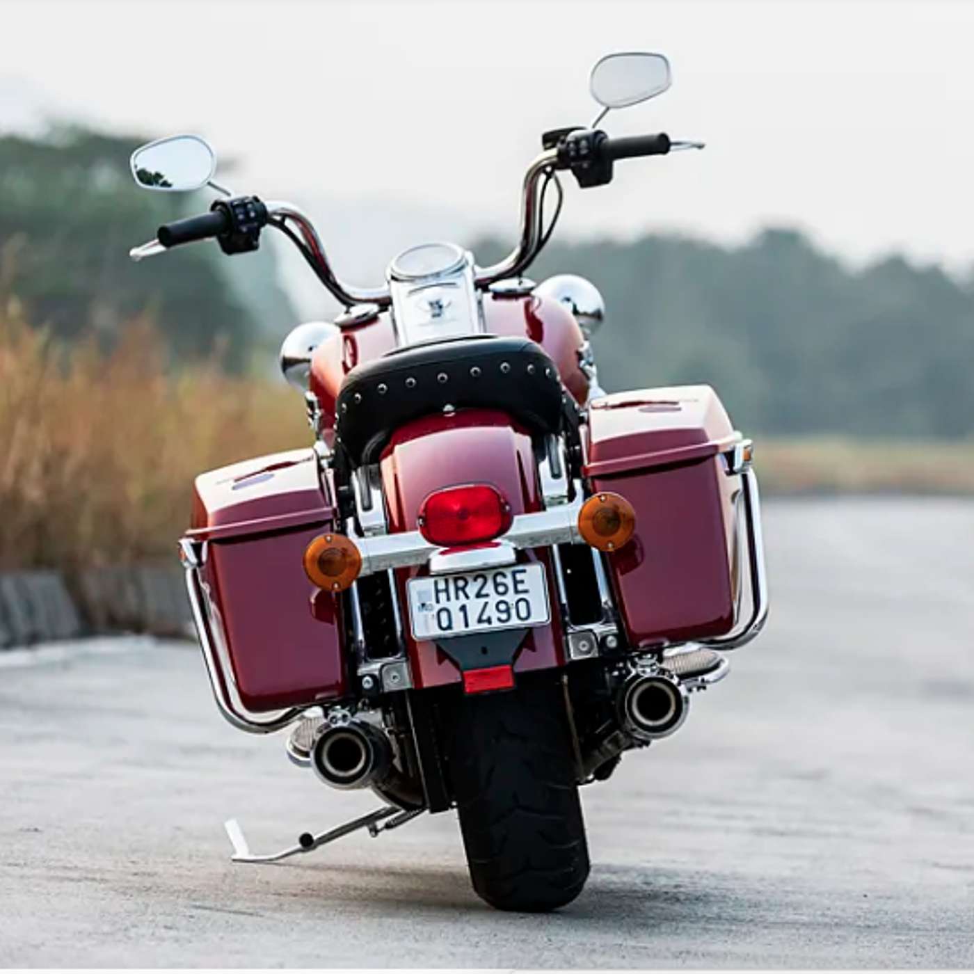 The Brighton Babbler