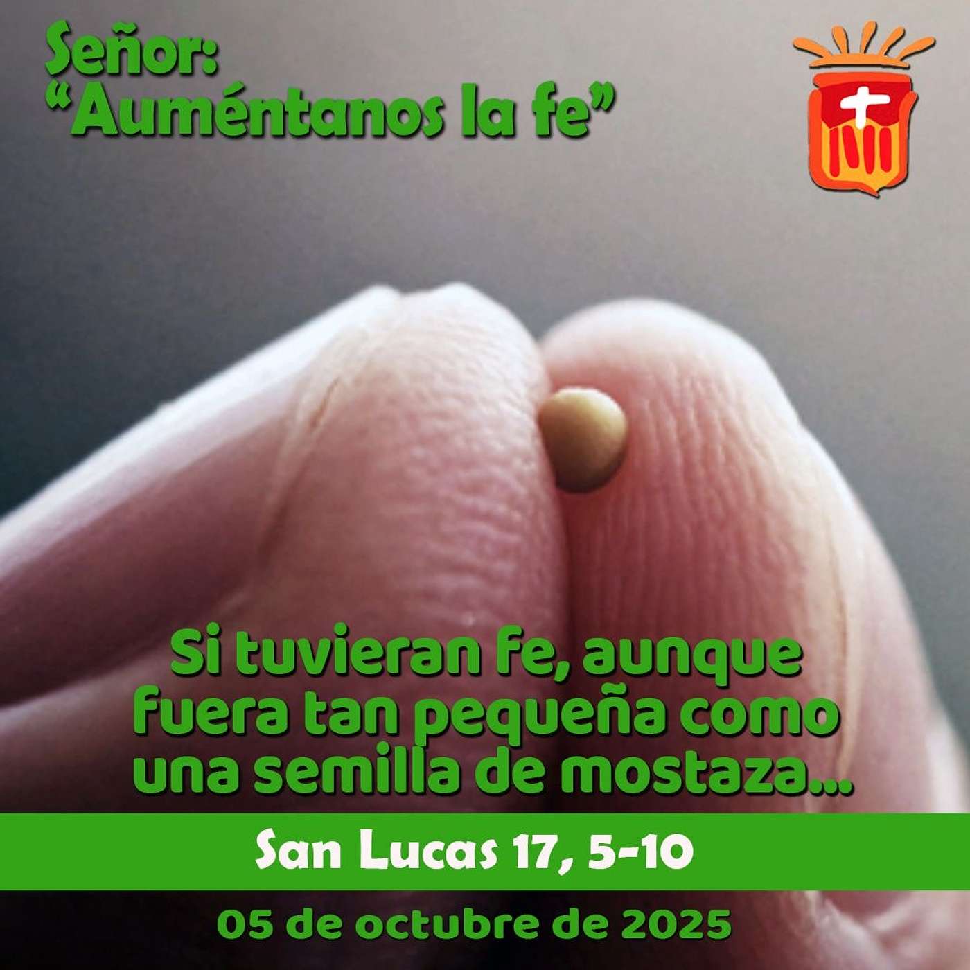 2025-10-05 San Lucas 17, 5-10: Domingo XXVII Ordinario