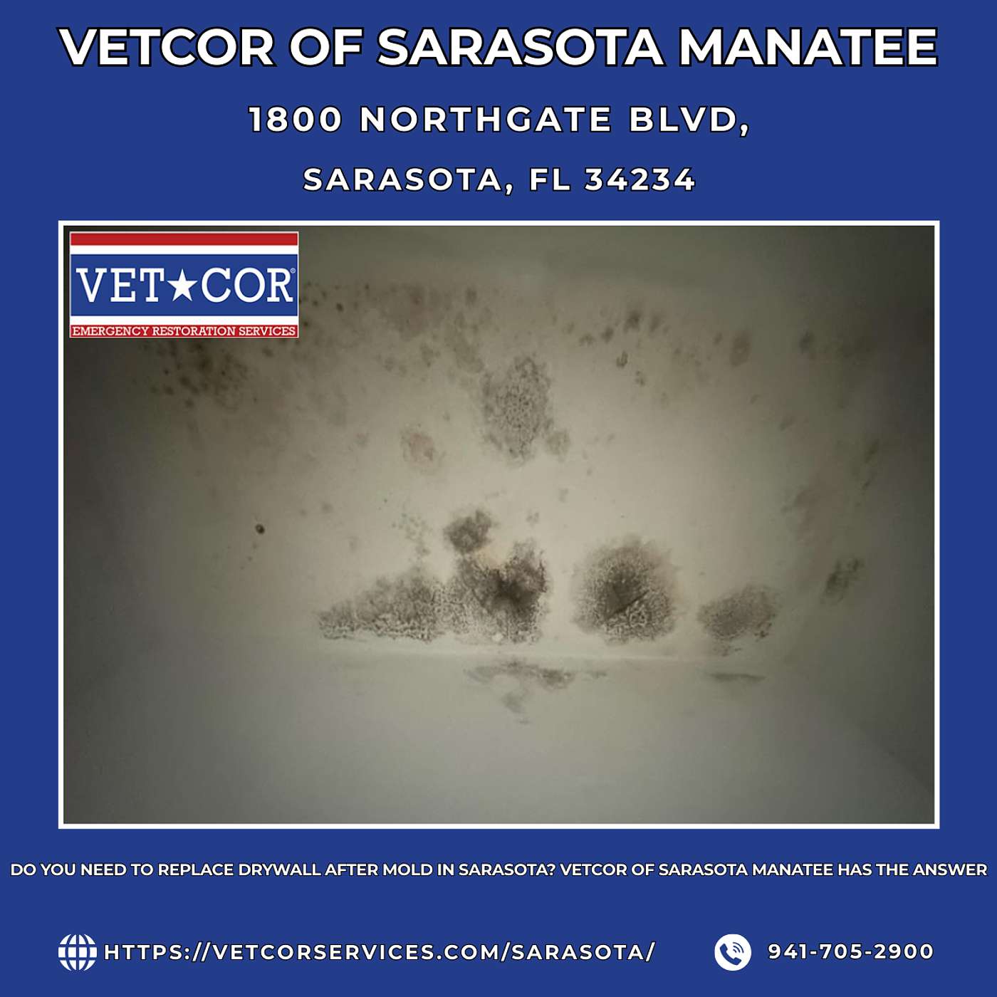 Do you need to replace drywall after mold in Sarasota? VetCor of Sarasota Manatee Has the Answer episode artwork