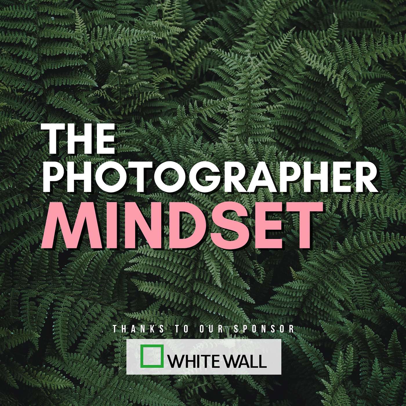 The Photographer Mindset